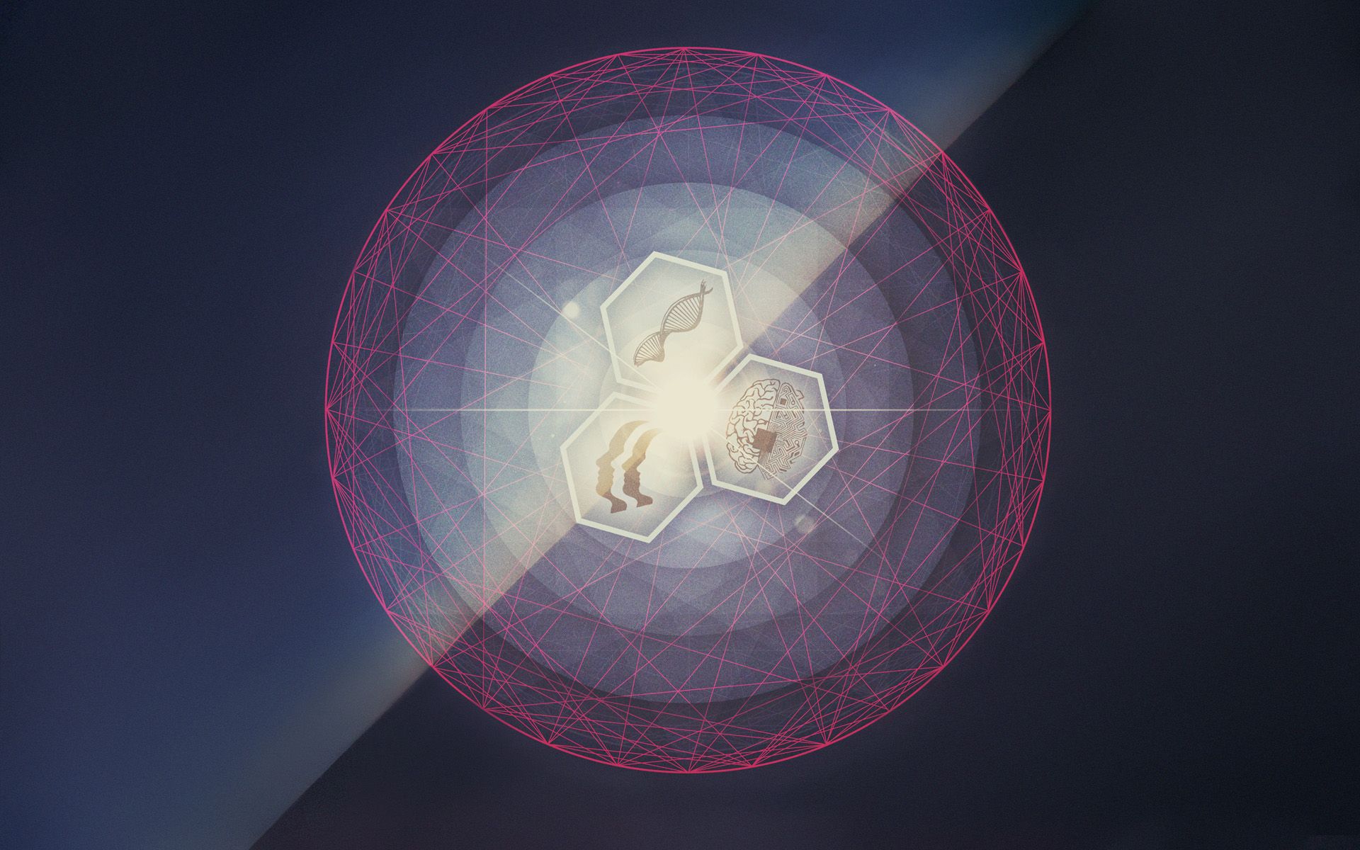 The Contortionist Announce Release Date