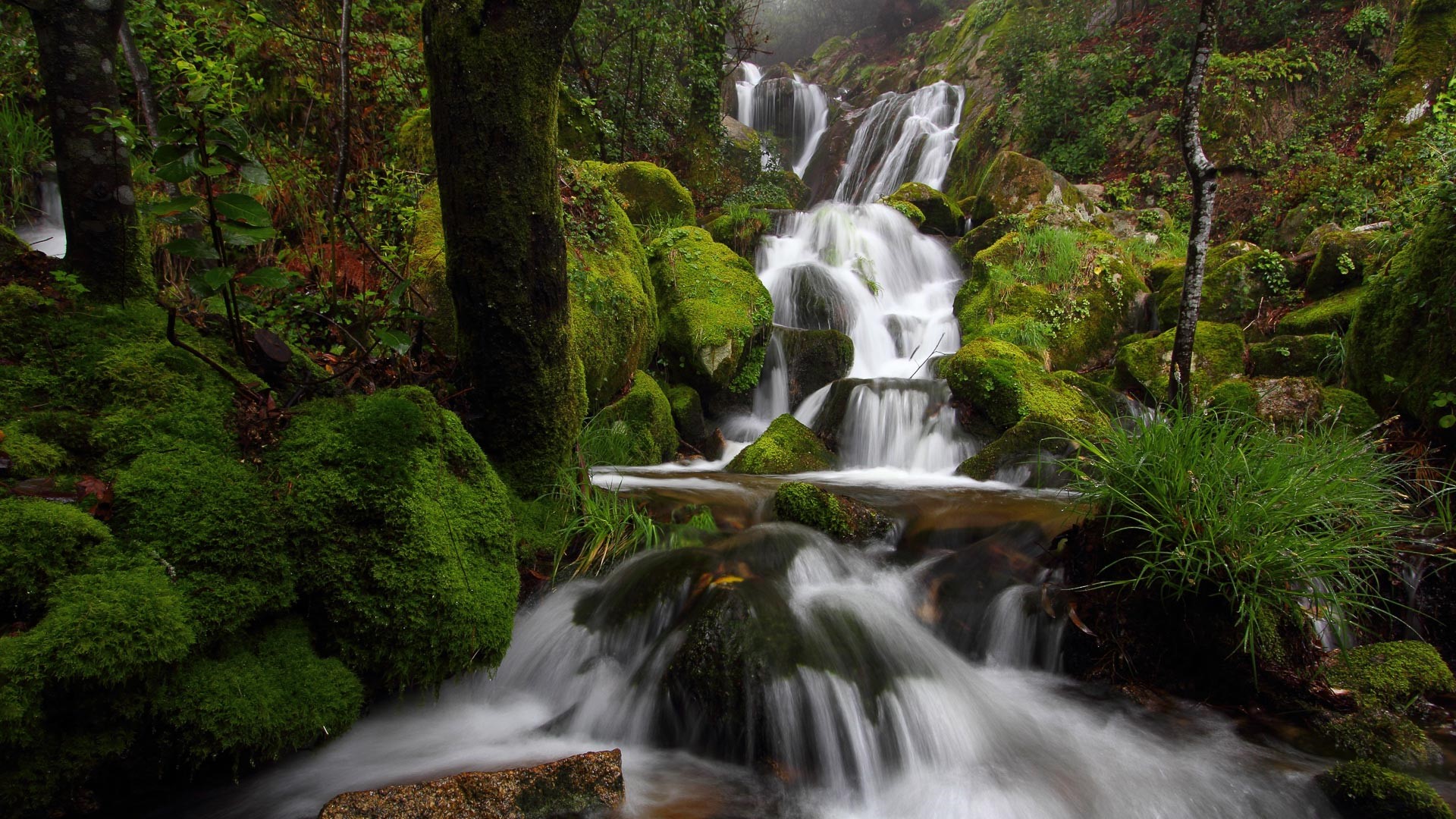 Waterfall in Monte Aloia natural park