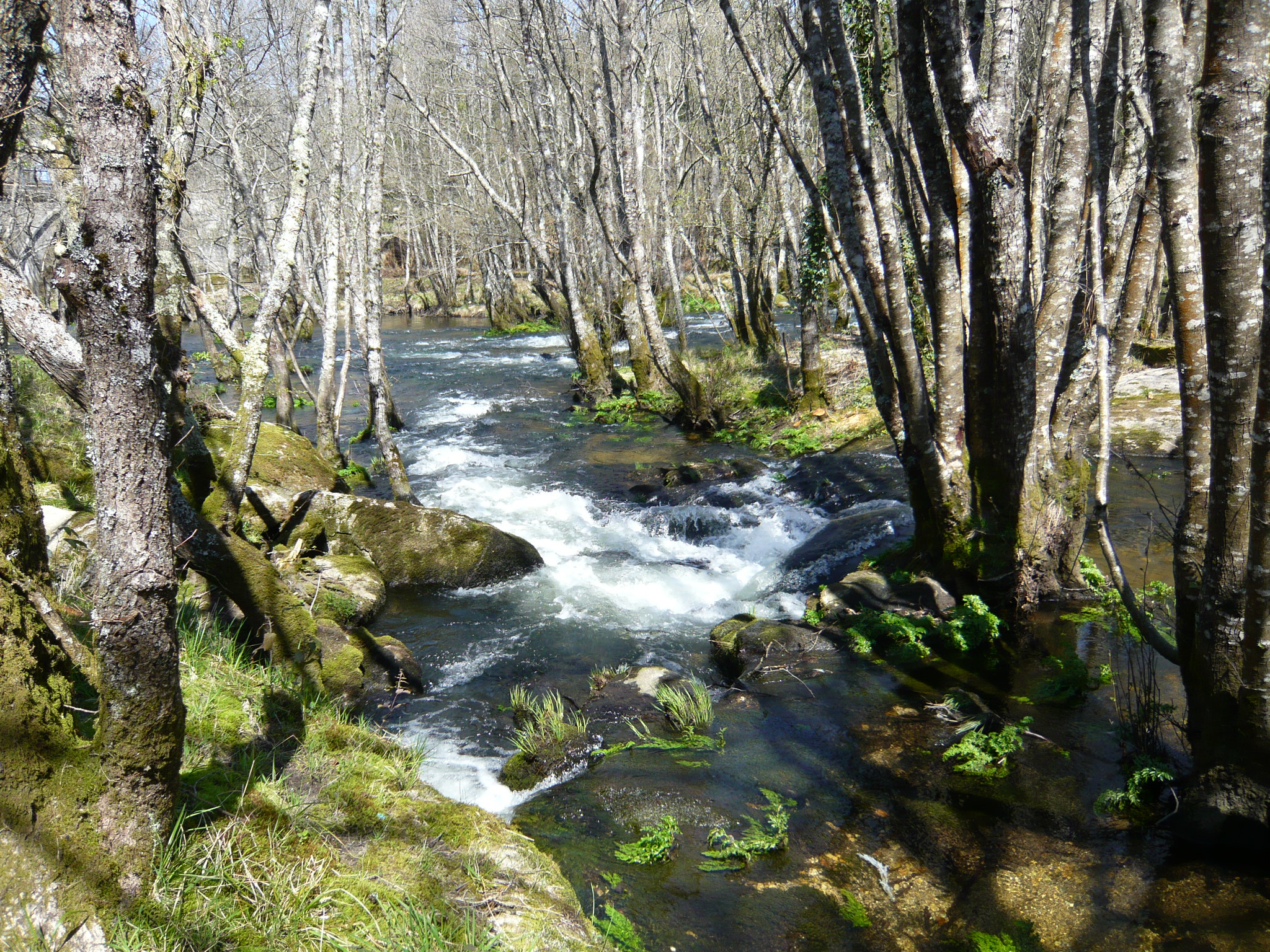 Parga cerca de Guitiriz Lugo, Galicia