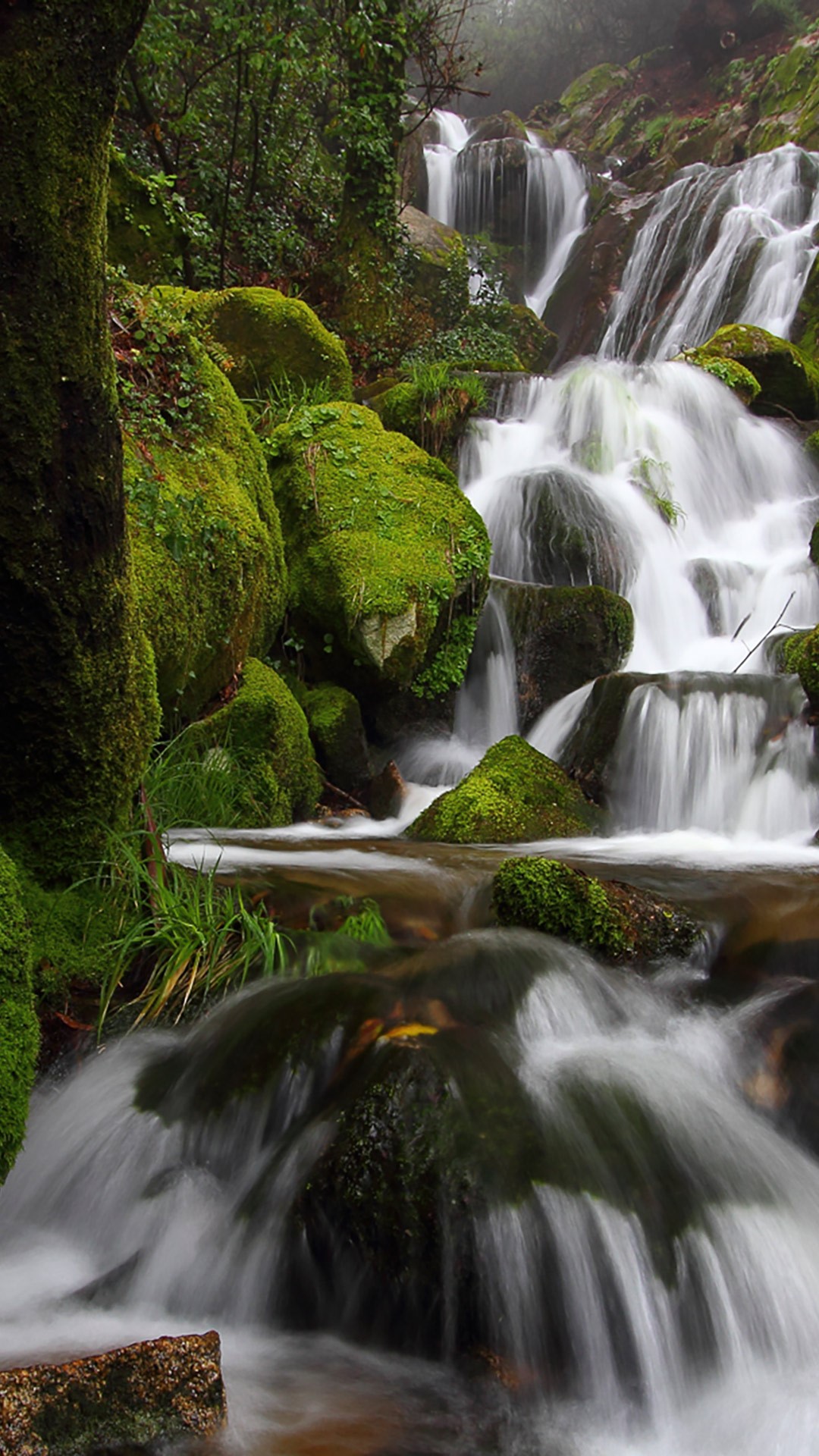 Waterfall in Monte Aloia natural park
