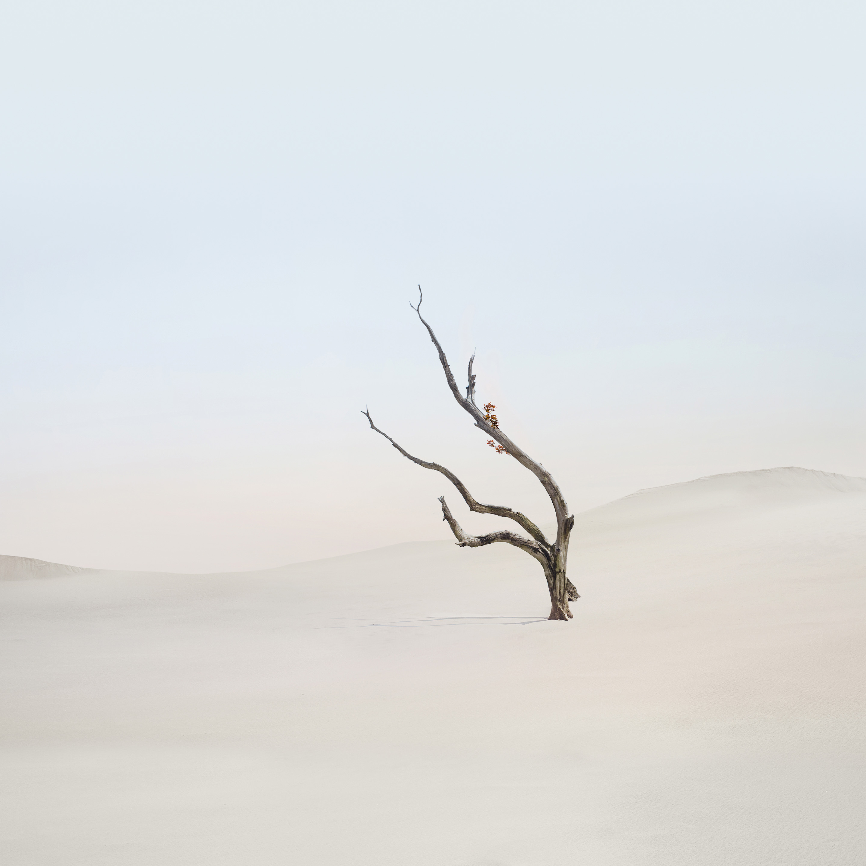 Xiaomi Mix Fold 4 wallpaper