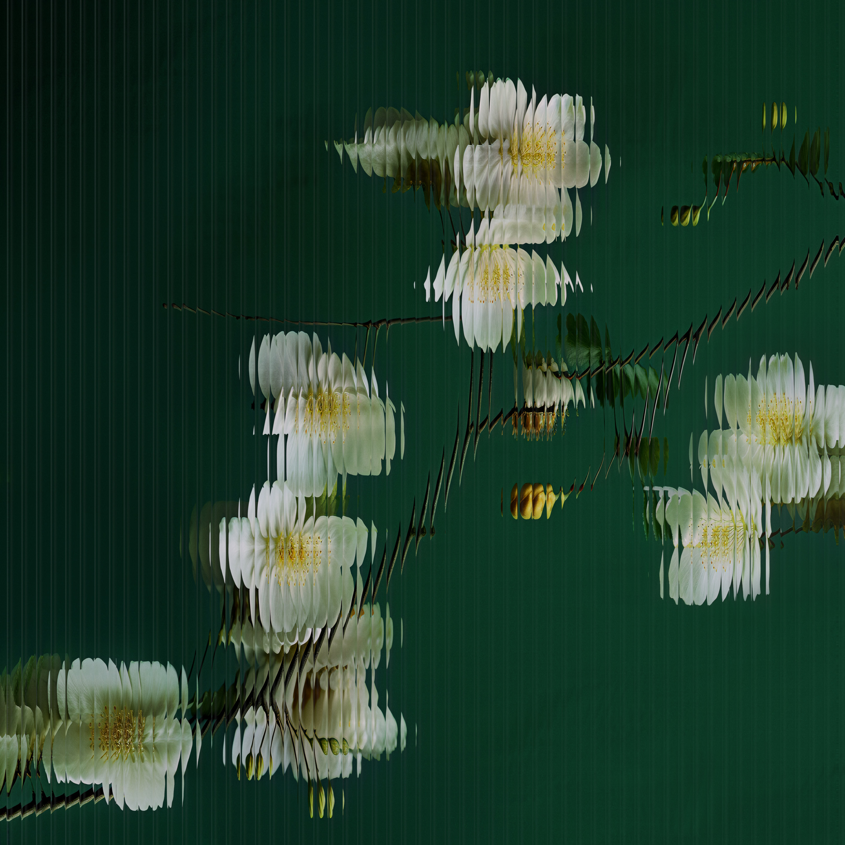 Xiaomi Mix Fold 4 wallpaper