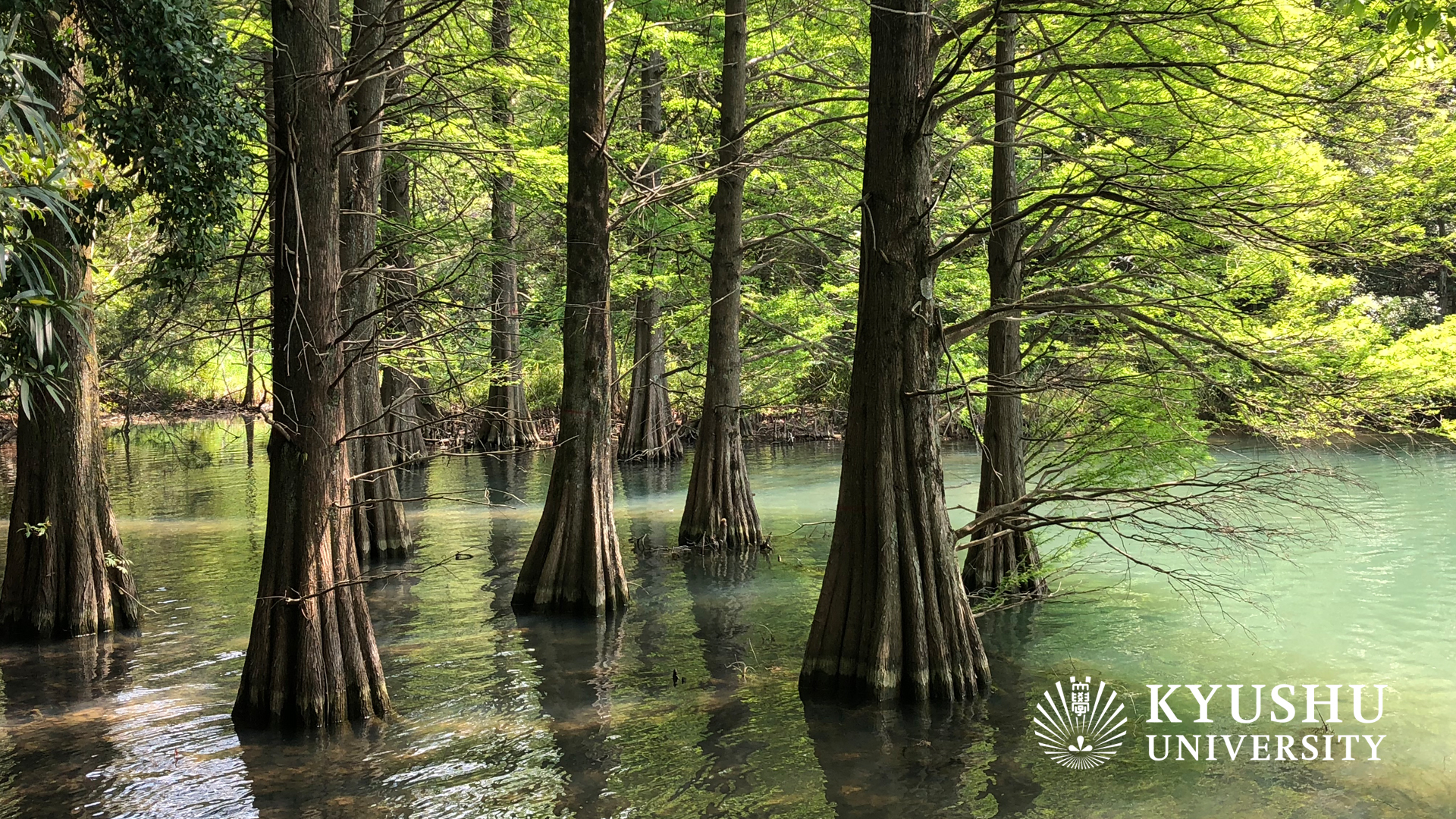 Virtual Background. Public Relations