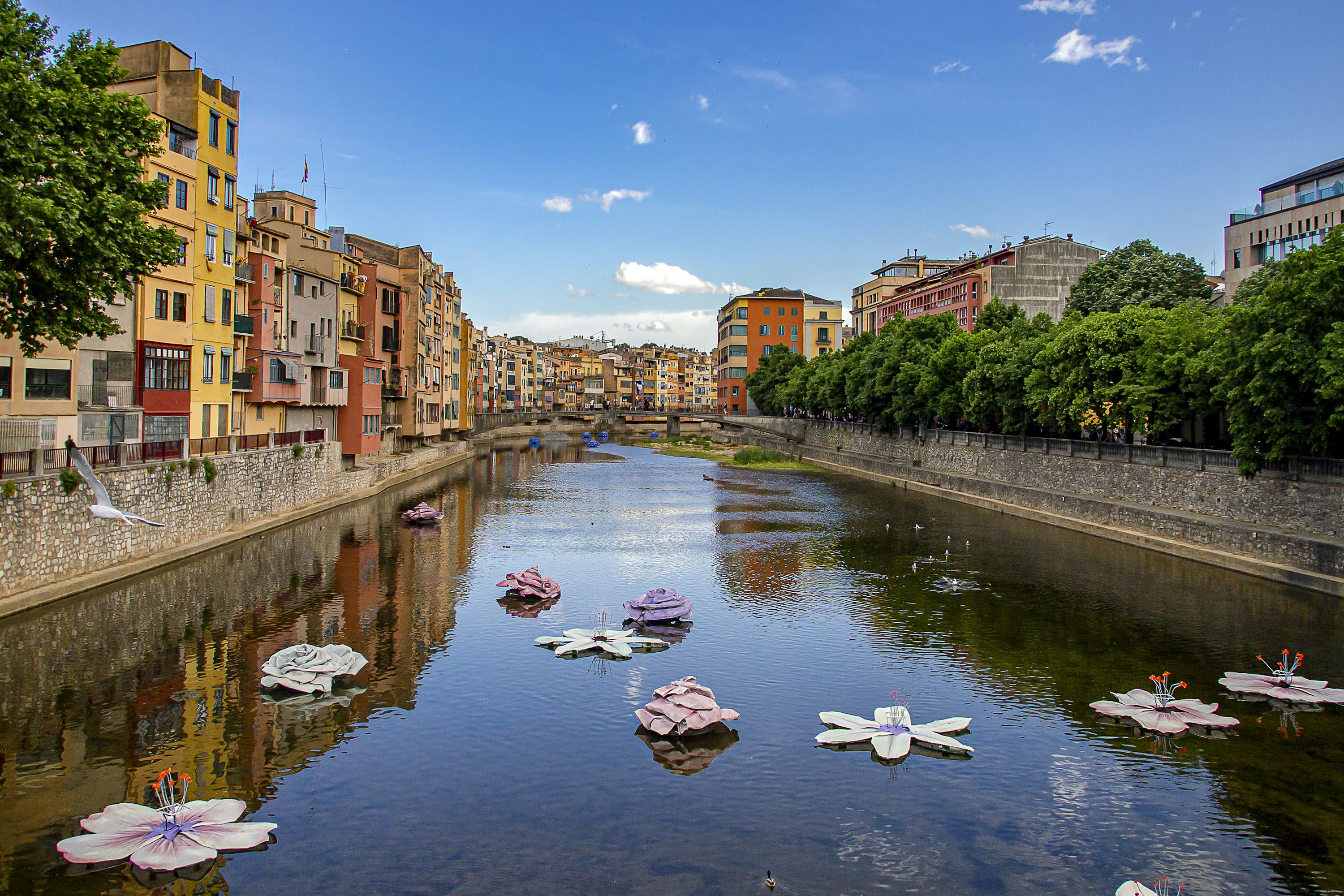Girona Picture. Download Free Image