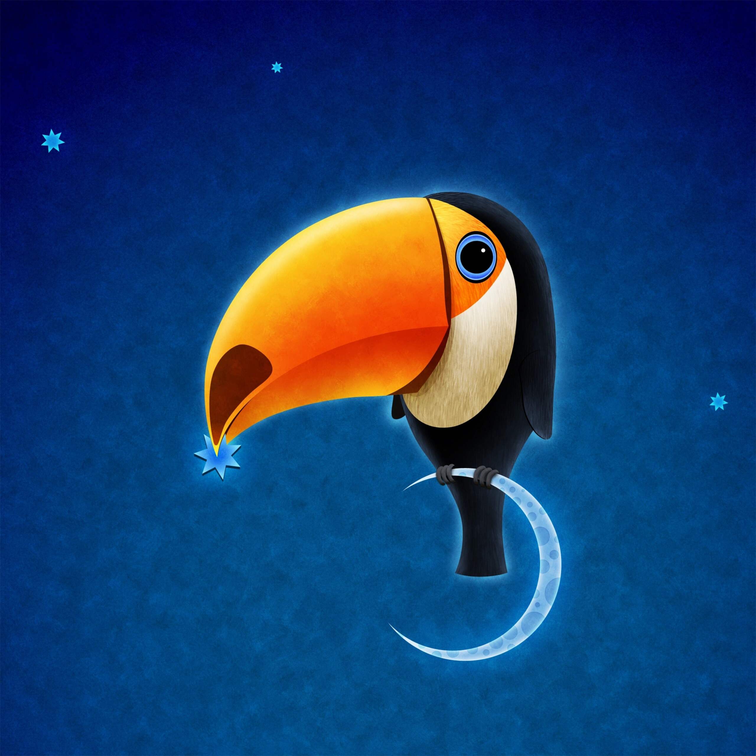 Toucan · Vlad.studio