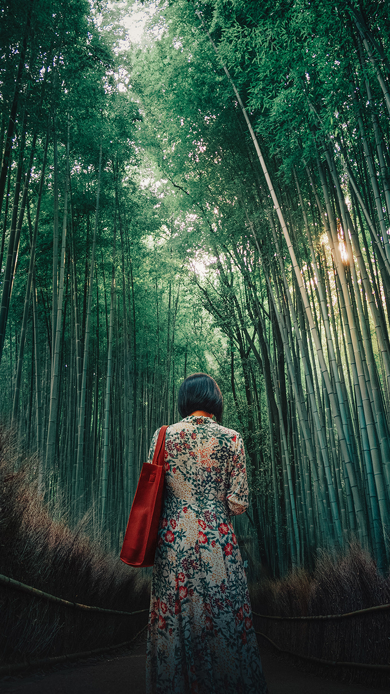 Forest Bamboo Wood Girl Art