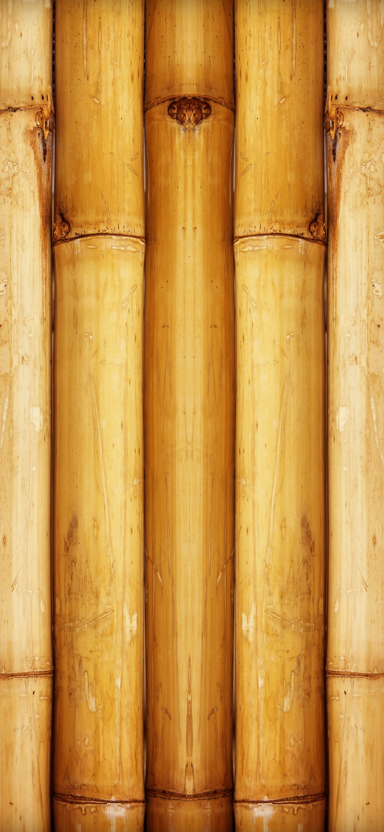 Bamboo Wallpaper 4K, Wall, Pattern, 5K