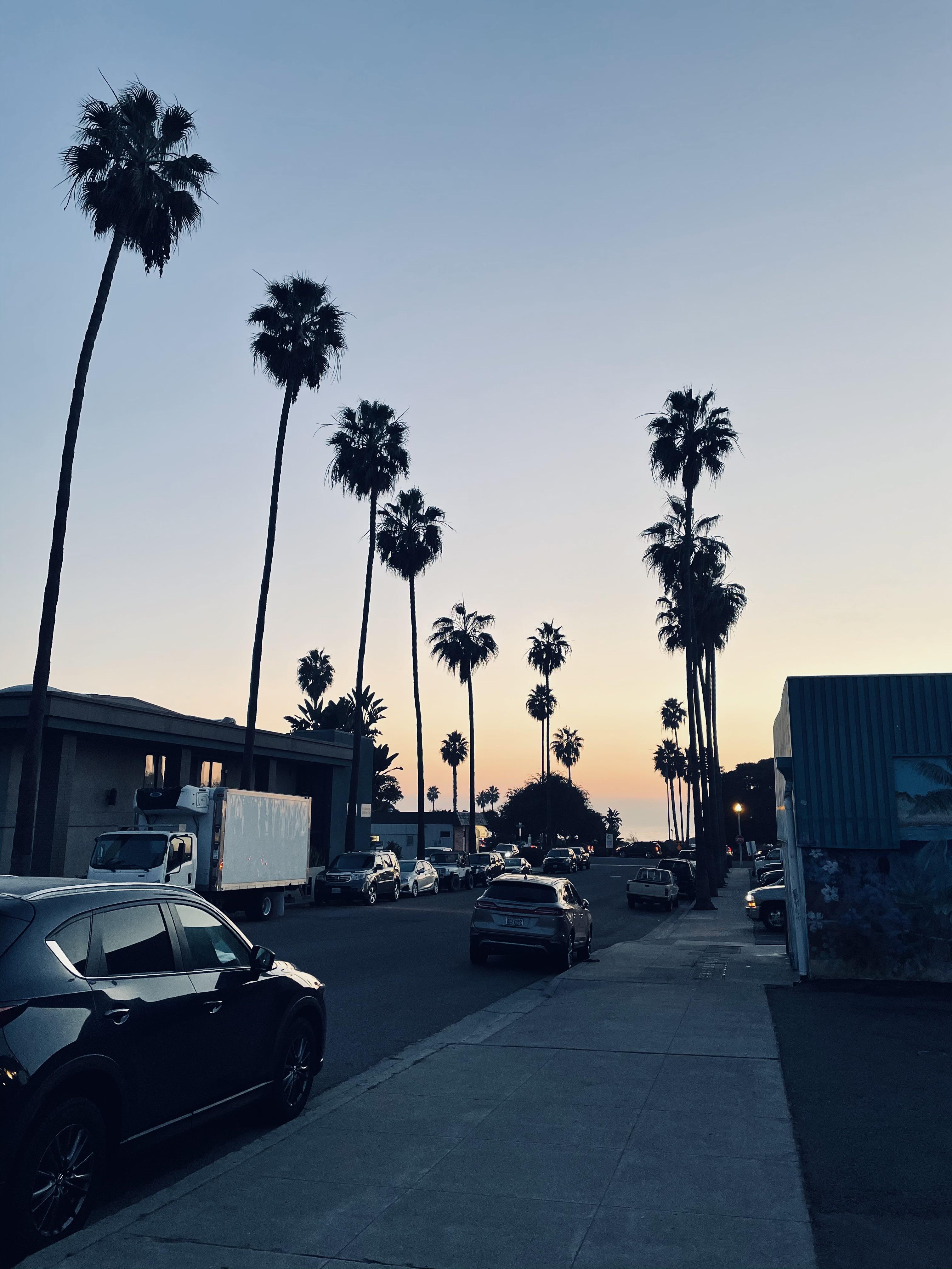 Took this pic outside a pizza place