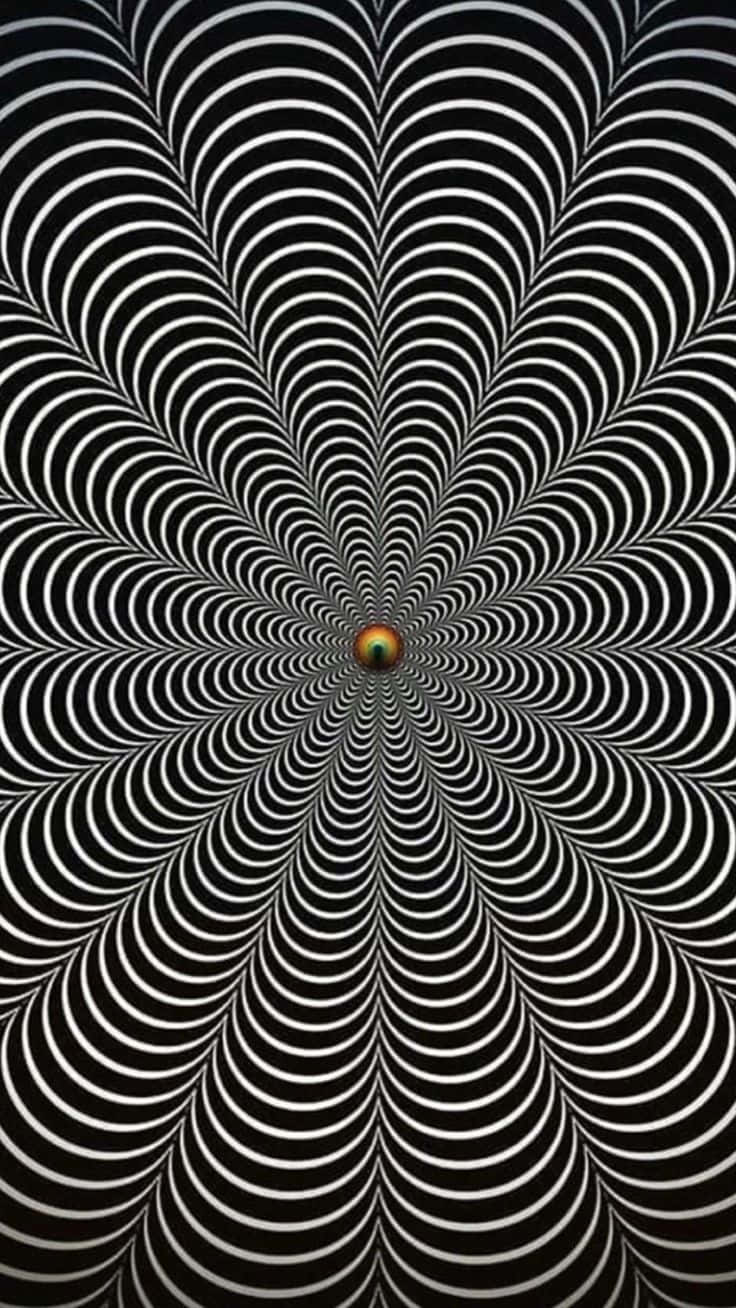Optical Illusion Picture