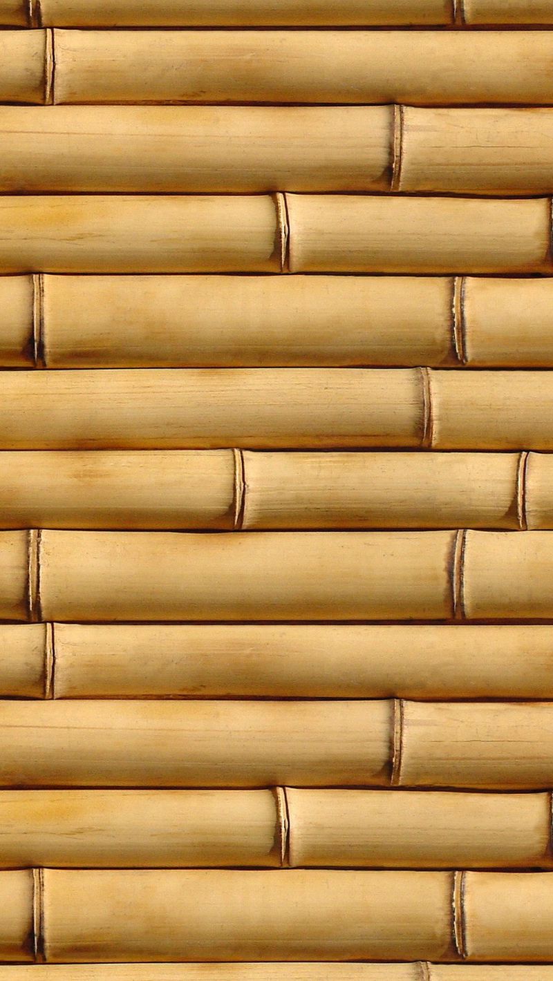 Download wallpaper 800x1420 bamboo
