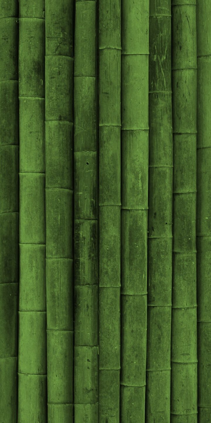 Bamboo Textures - [720x1440]
