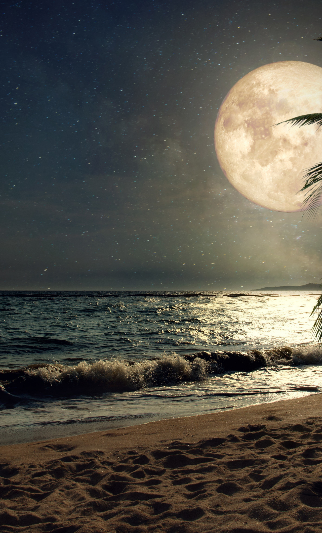 wallpaper 1280x2120 beach, sand