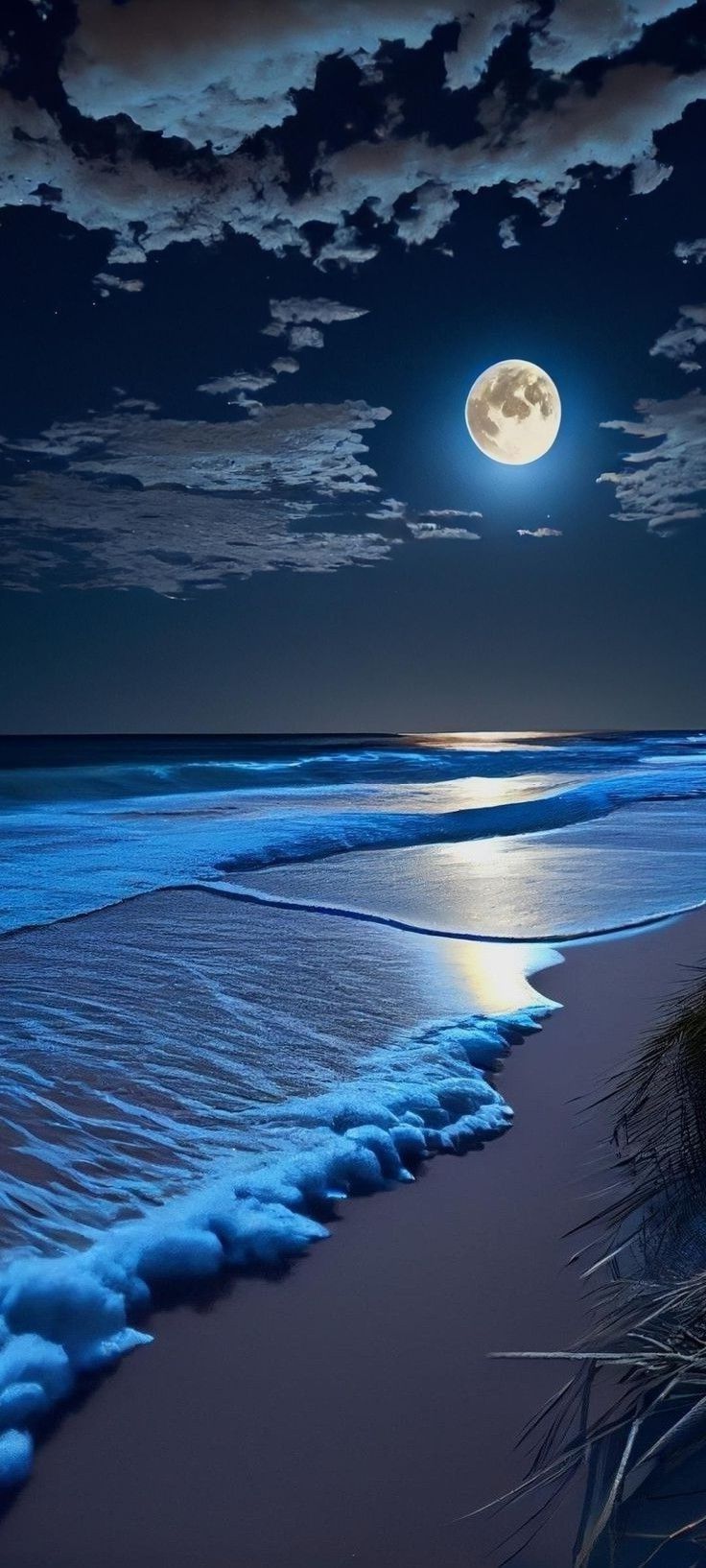 Moon Night Beach iPhone wallpaper