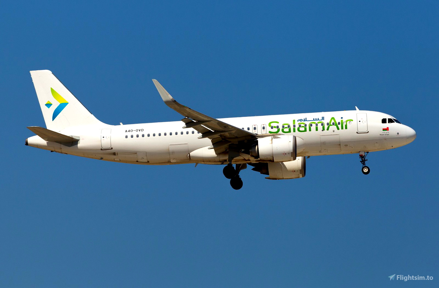 Liveries Requests Air Oman