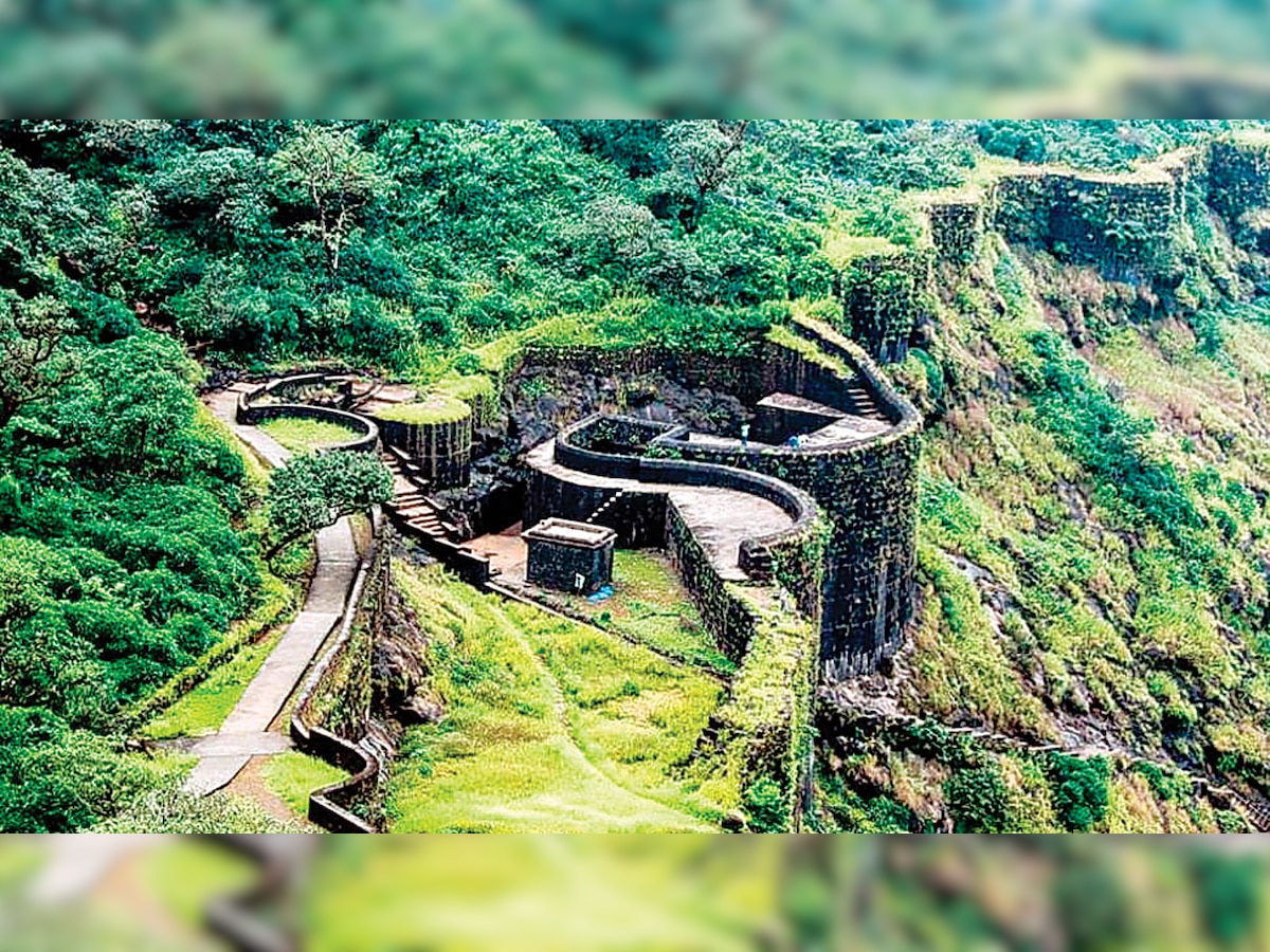 Archaeological Survey of India