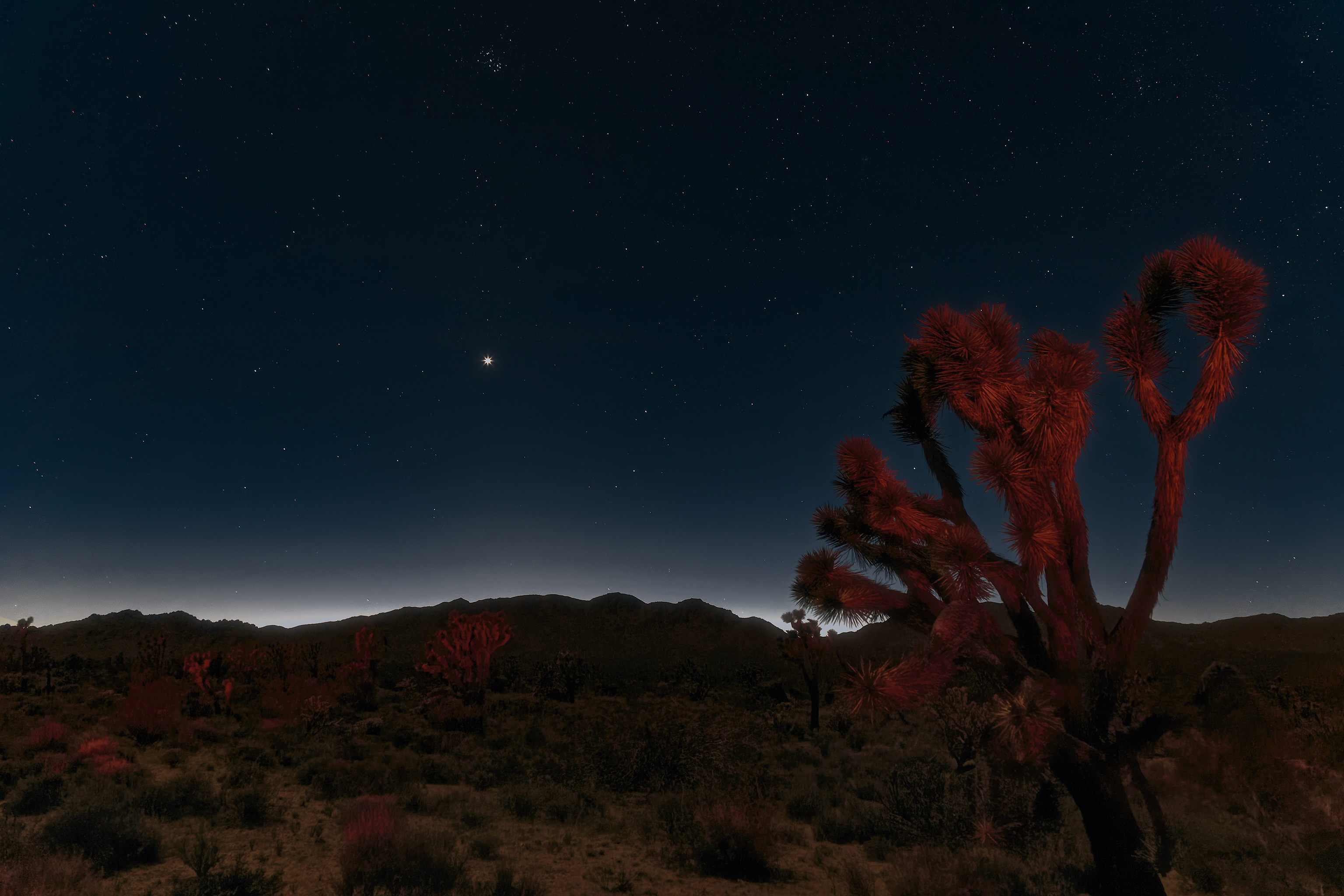 Download Night Starry Sky Mojave Desert
