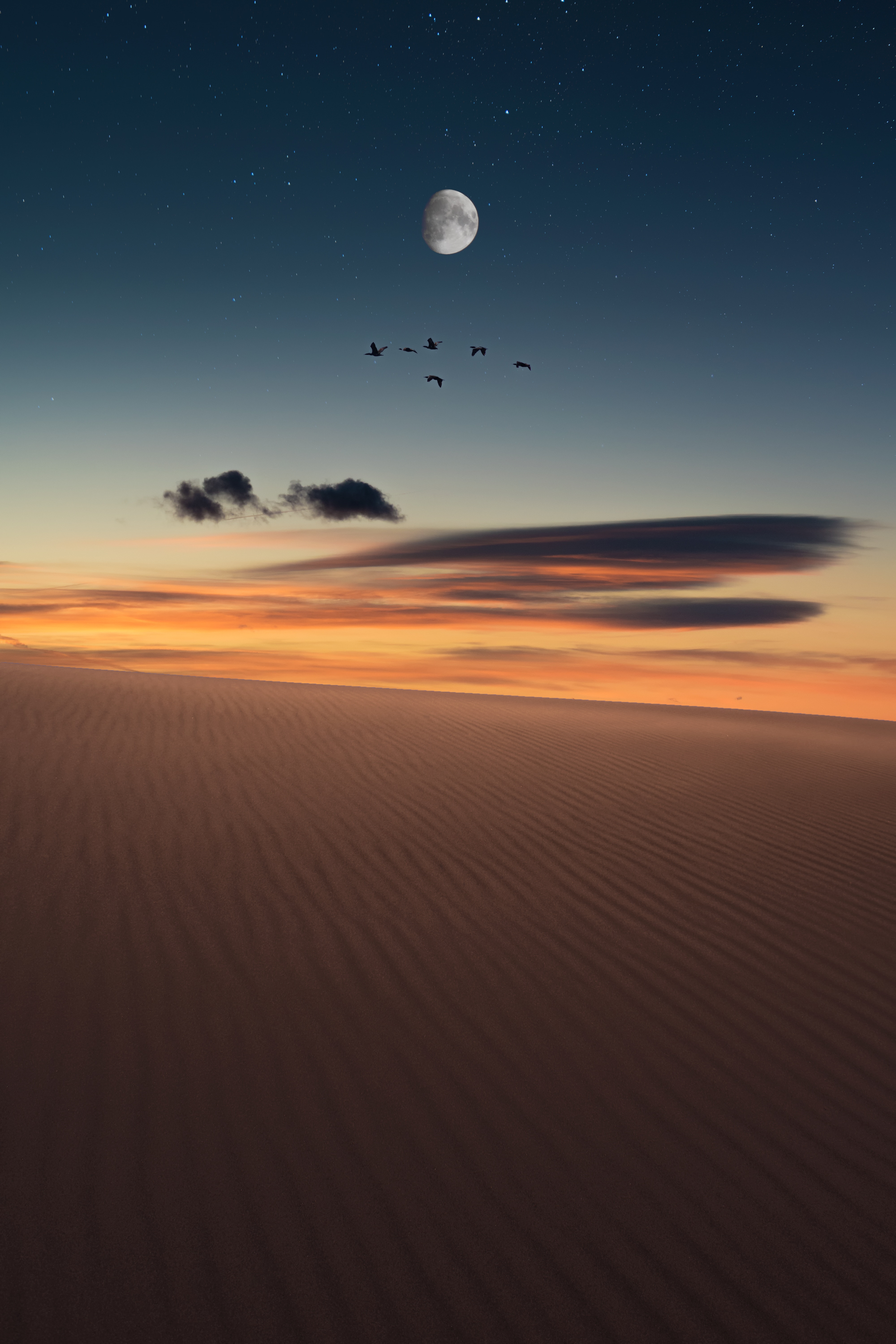 Download Desert wallpaper for mobile