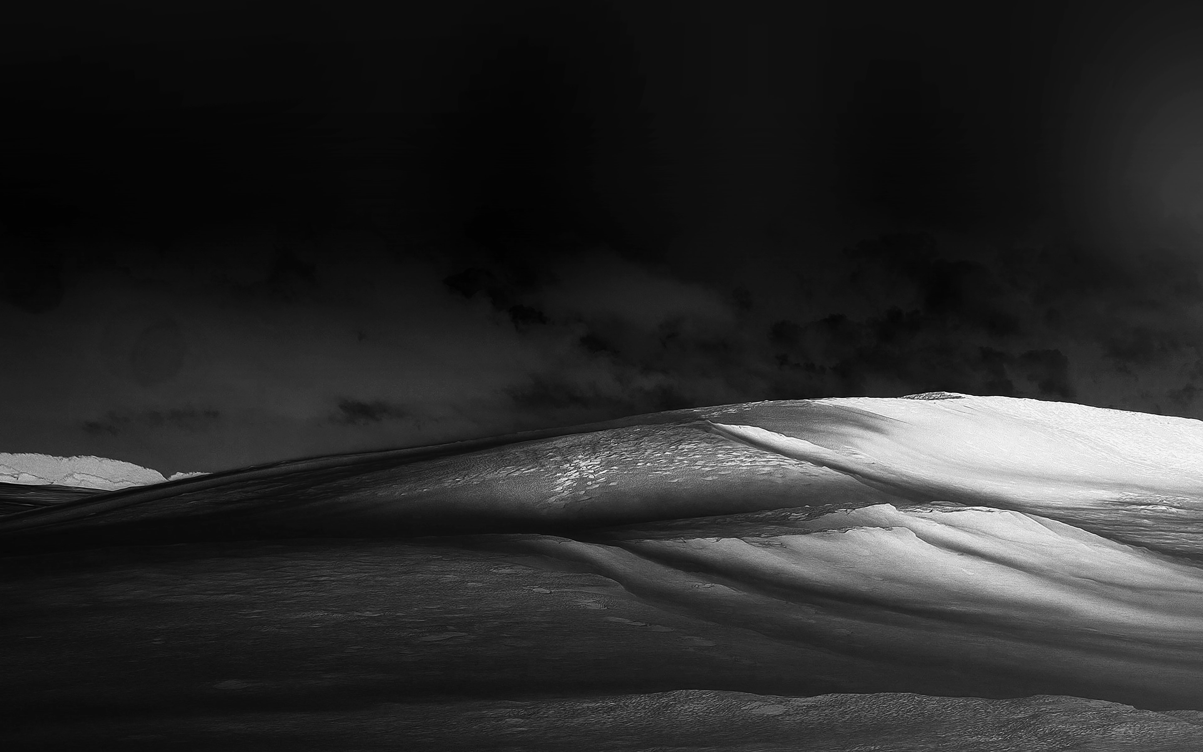 Desert Garden Night No Water Food