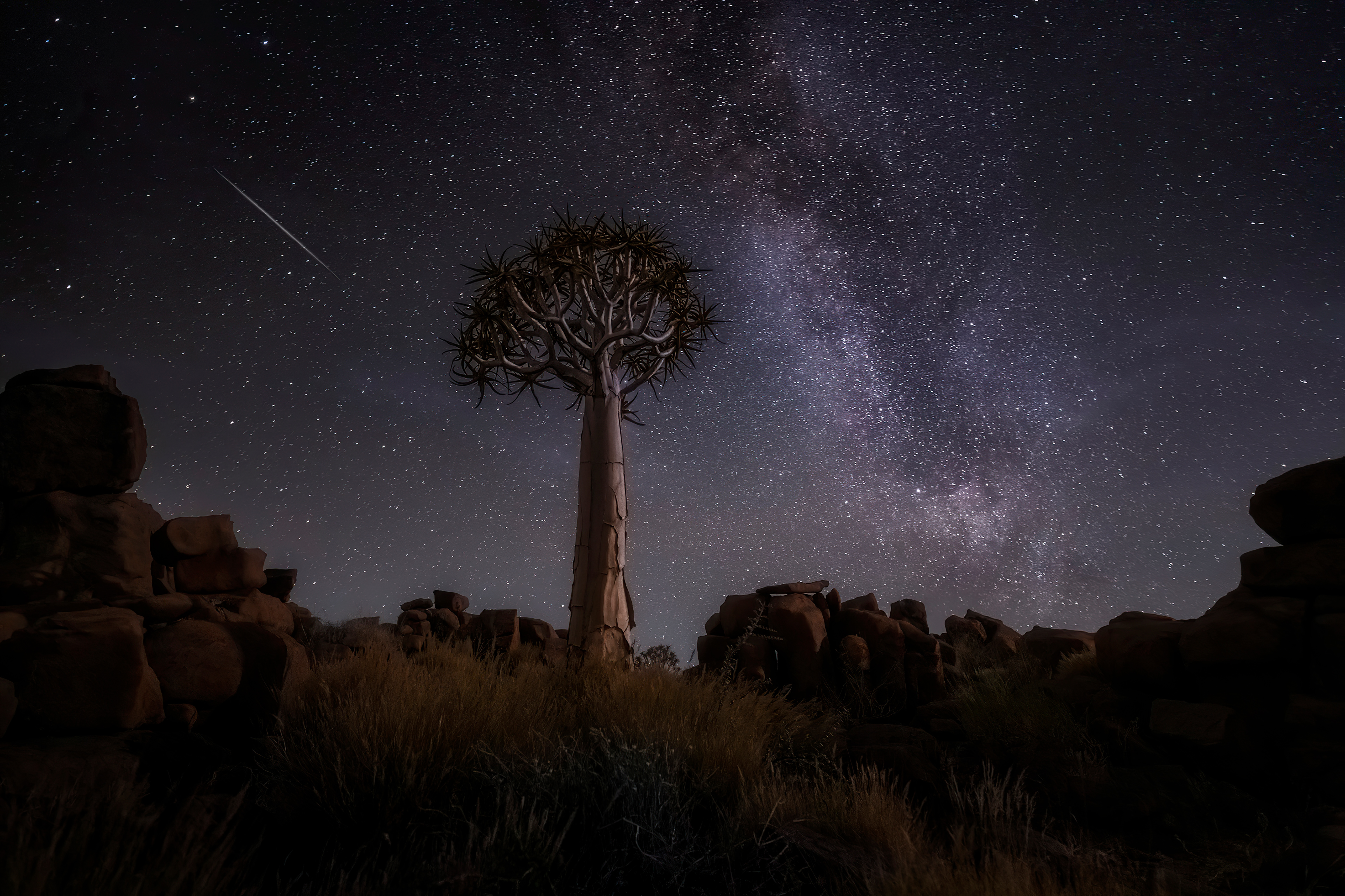 Nature Wallpaper, 4k Wallpaper