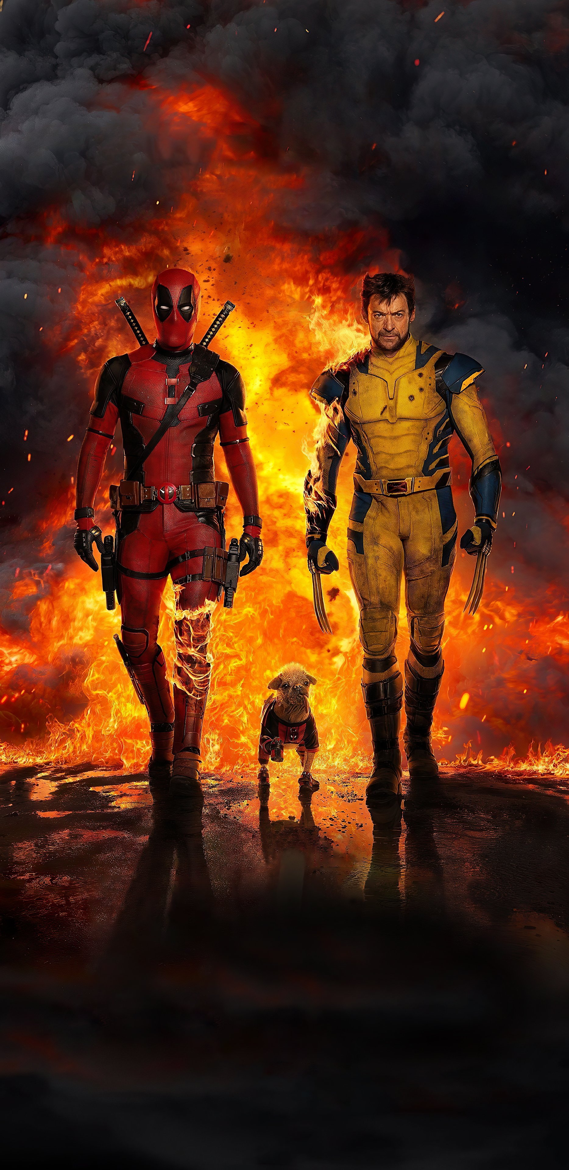 Komix BroK DC, Marvel, HOTD