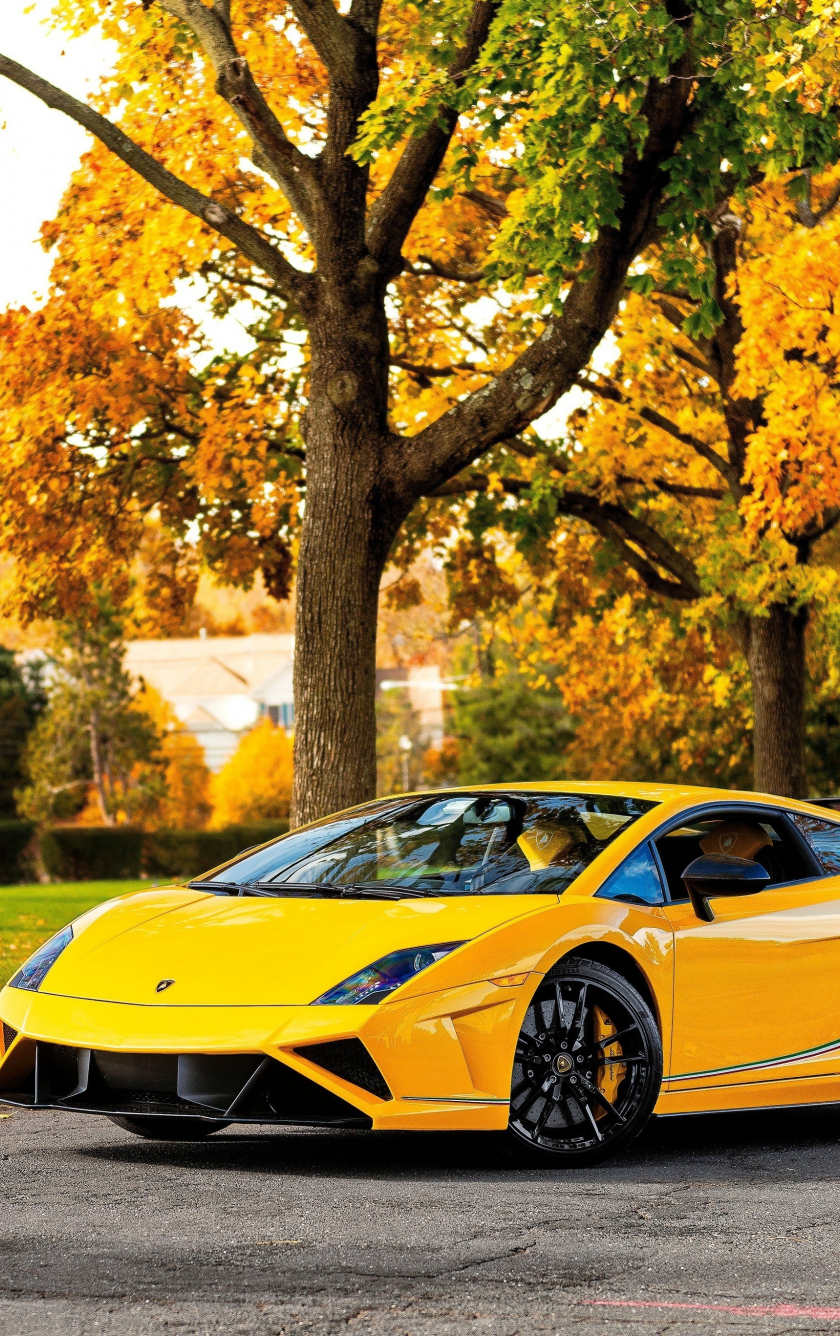 Download wallpaper 840x1336 lamborghini