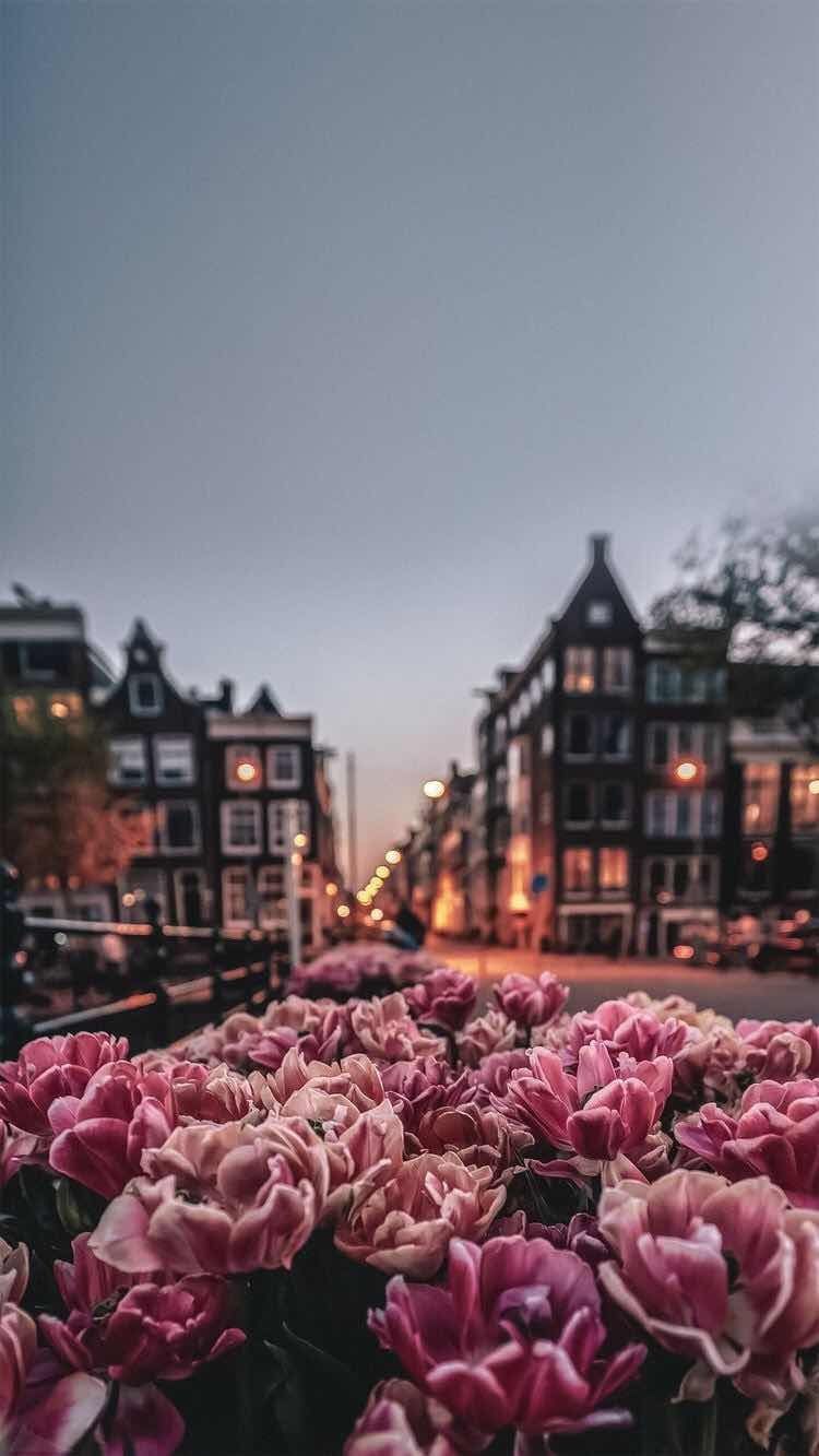 Android Wallpaper: Amsterdam Wallpaper