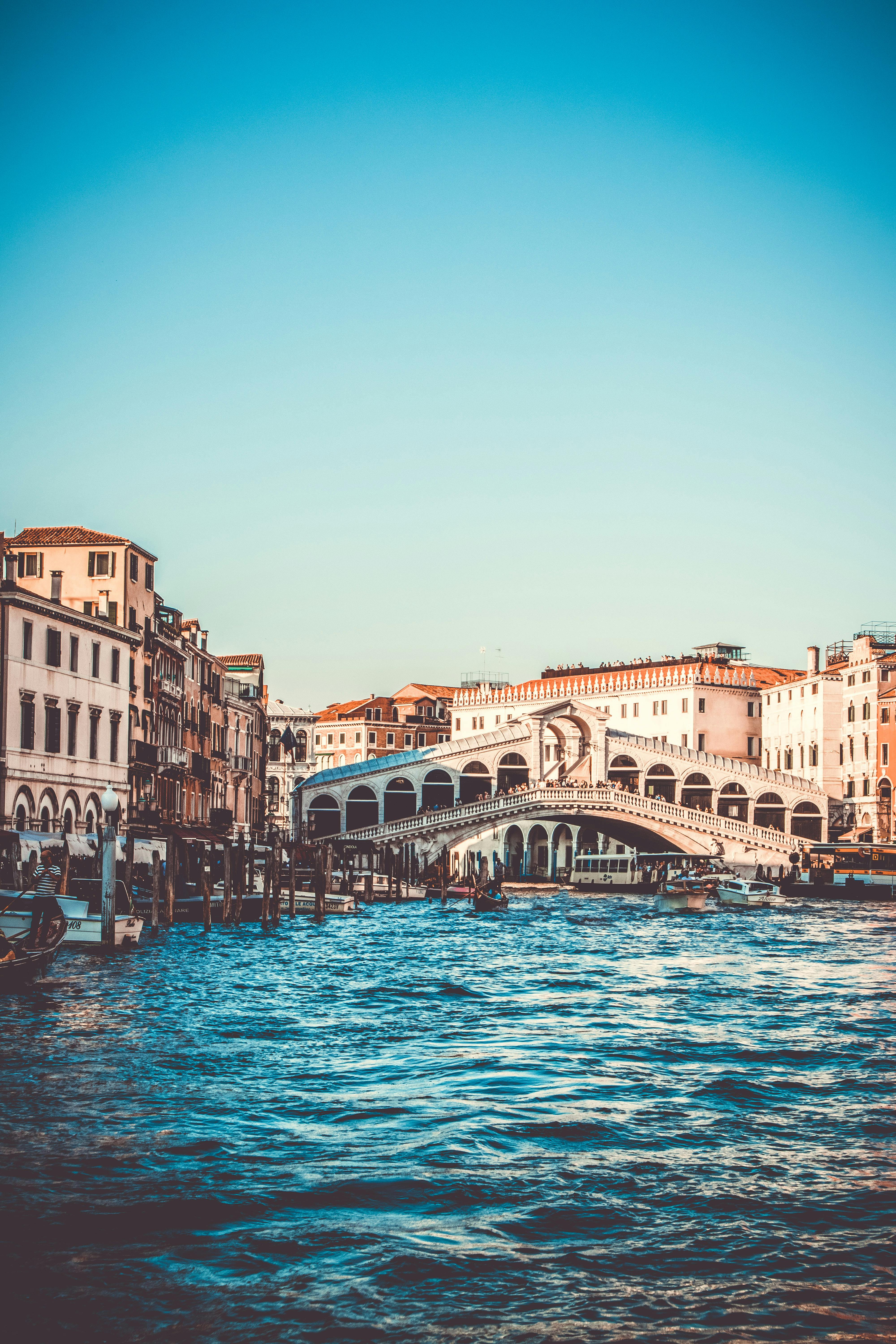 Rialto Bridge in Venice · Free