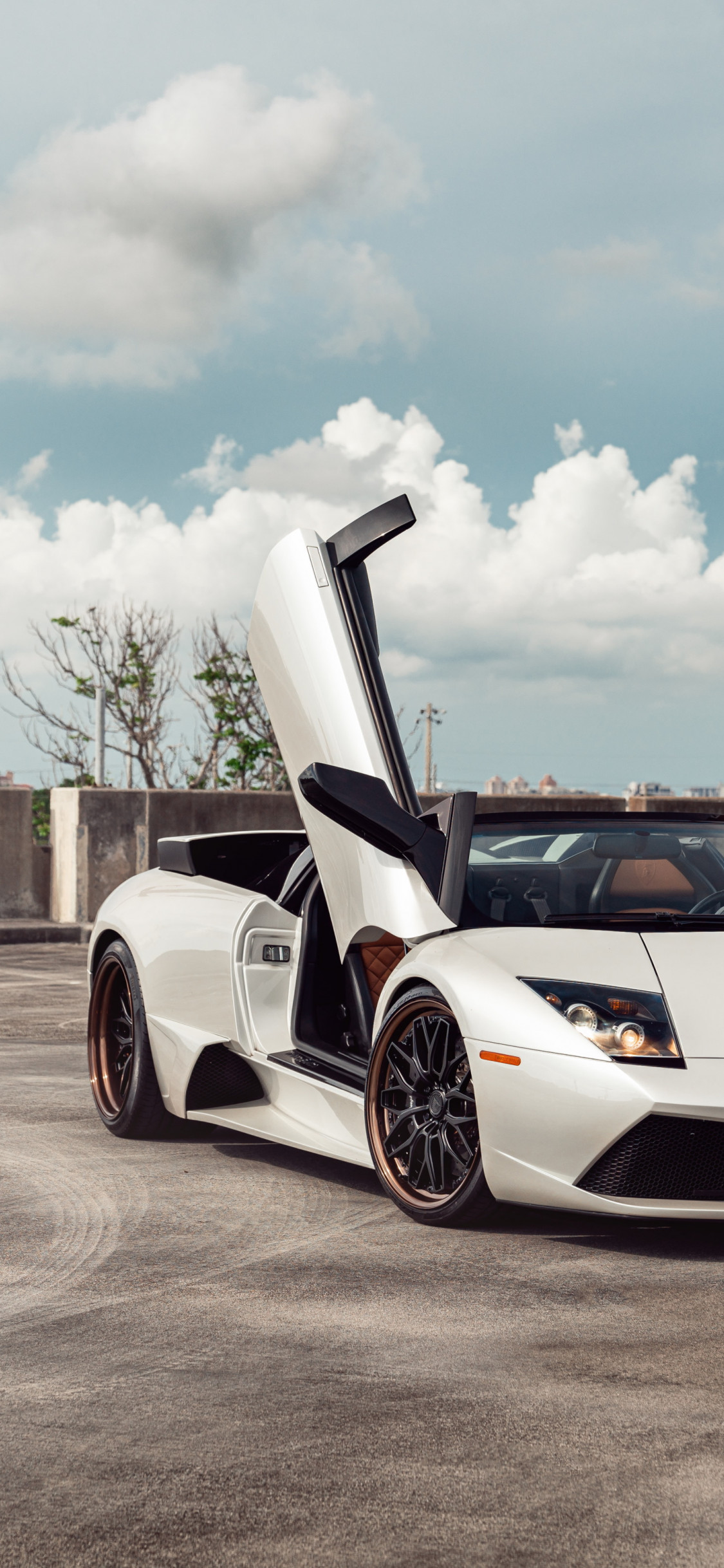 wallpaper: Lamborghini Murcielago 1125x2436