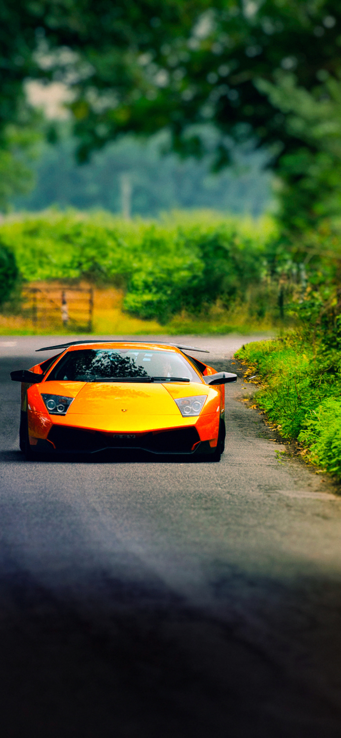 Lamborghini Murcielago Wallpaper