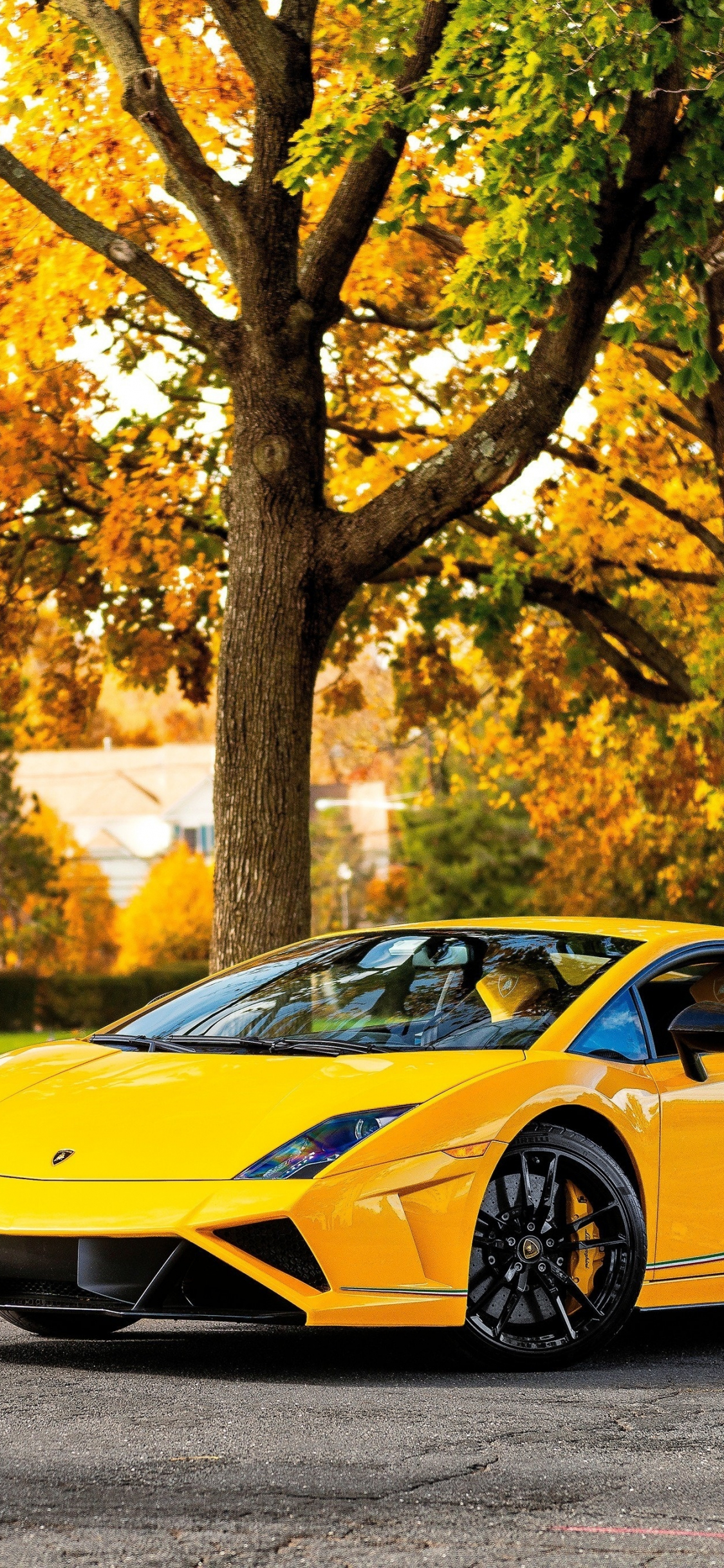 Download wallpaper 1125x2436