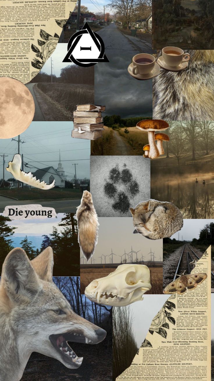 Check out sadmemesandevilschemes's