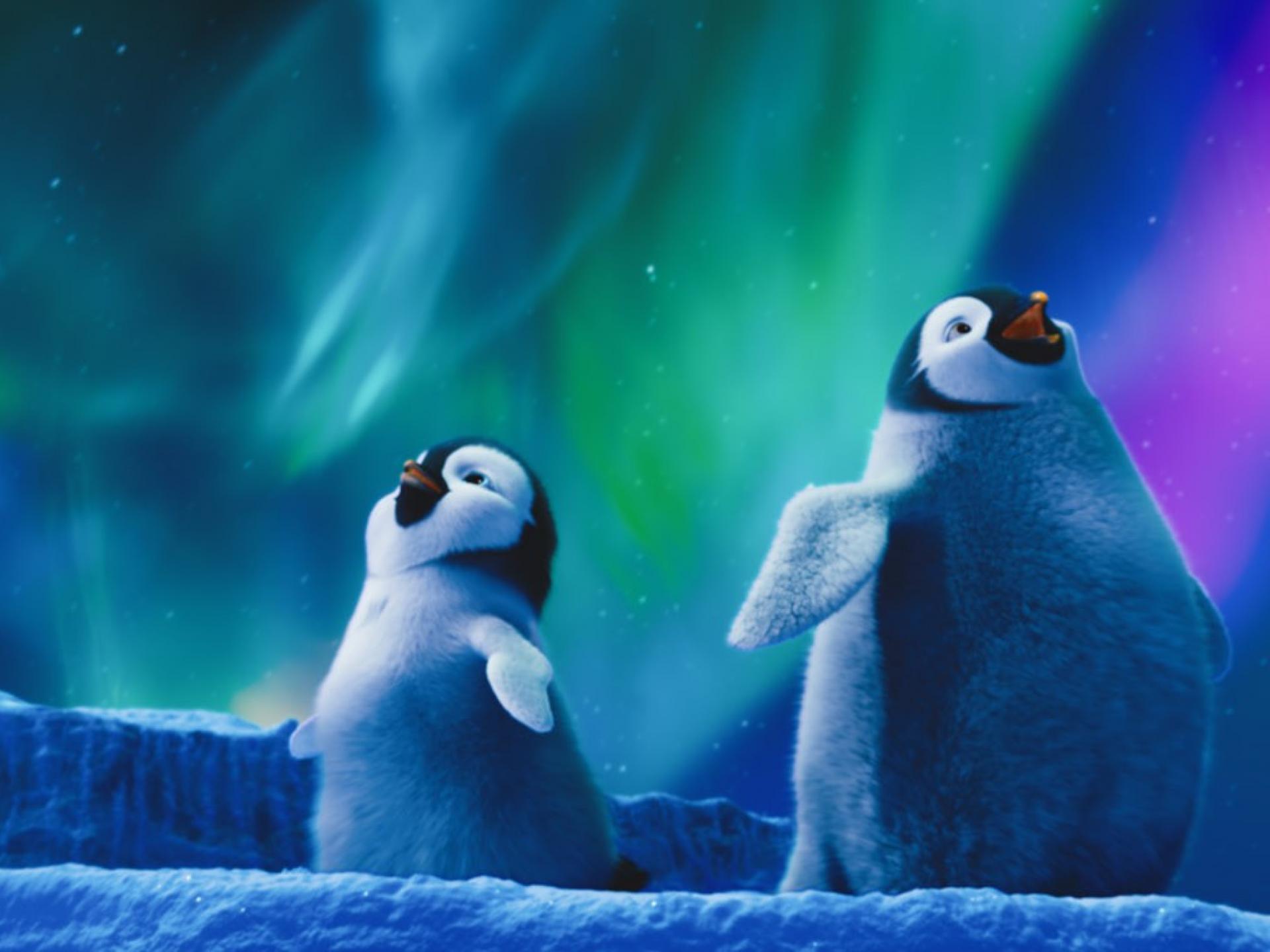 Happy Feet Two Wallpapers Wallpaper Cave Happy Feet Two Wallpapers Wallpaper Cave