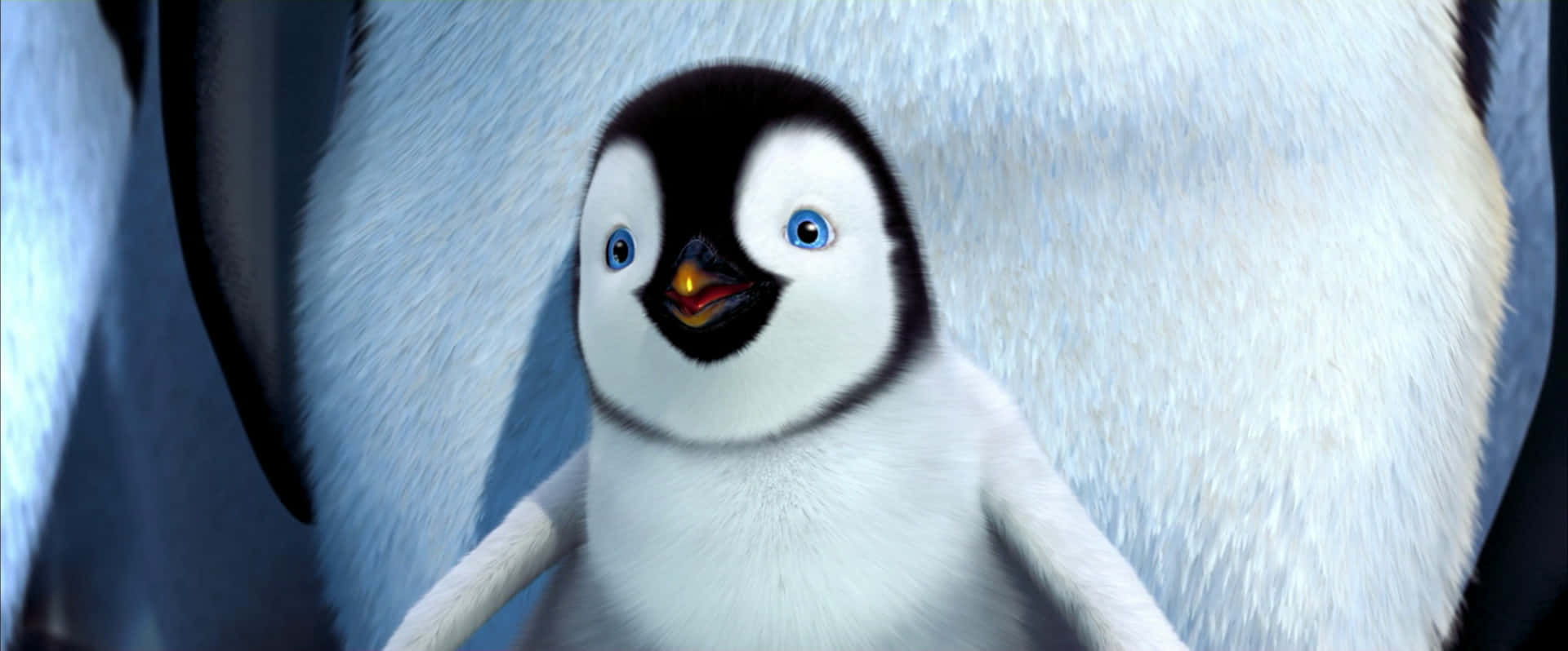 Penguin From Happy Feet Two Wallpaper