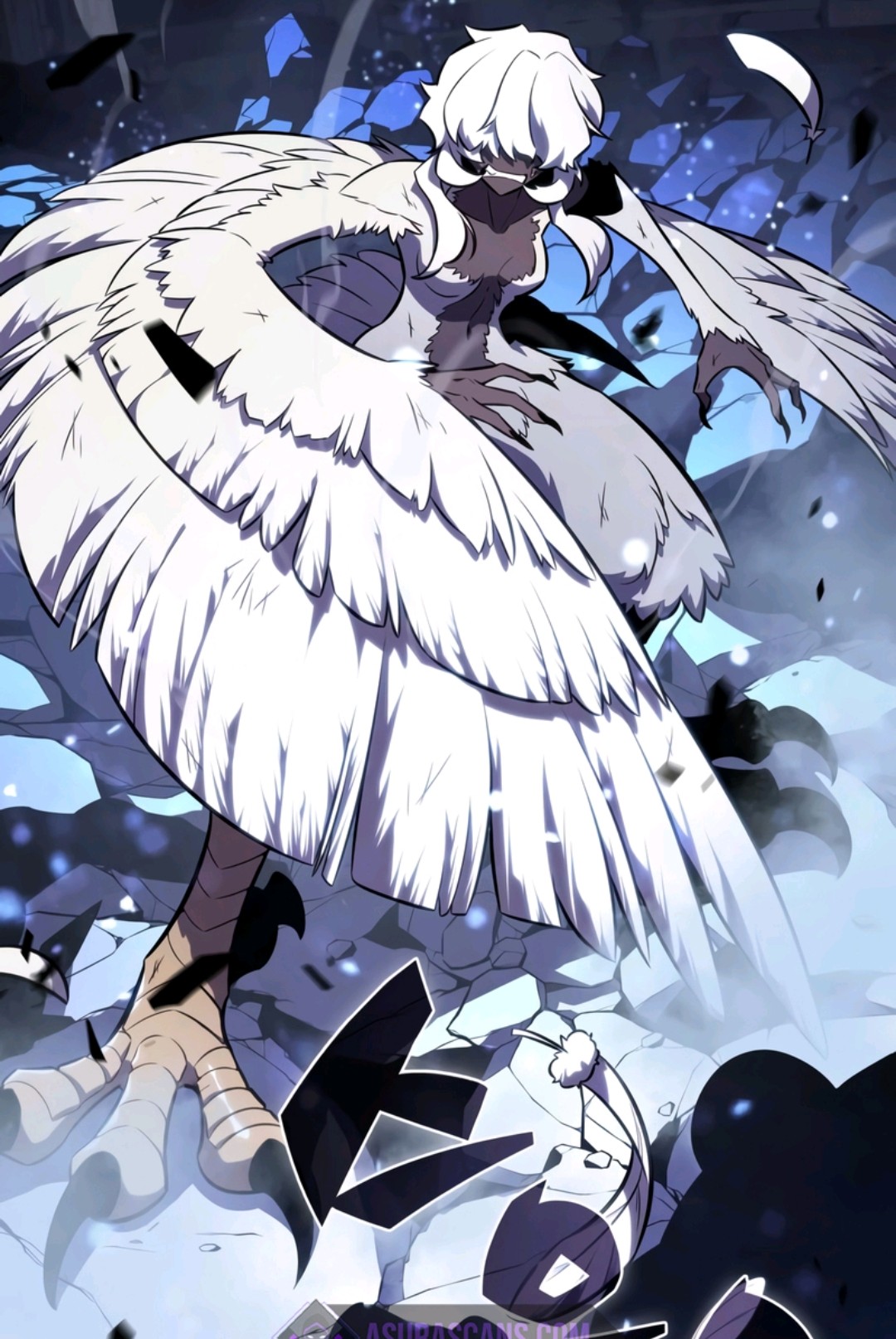 Atasha. Max Level Newbie