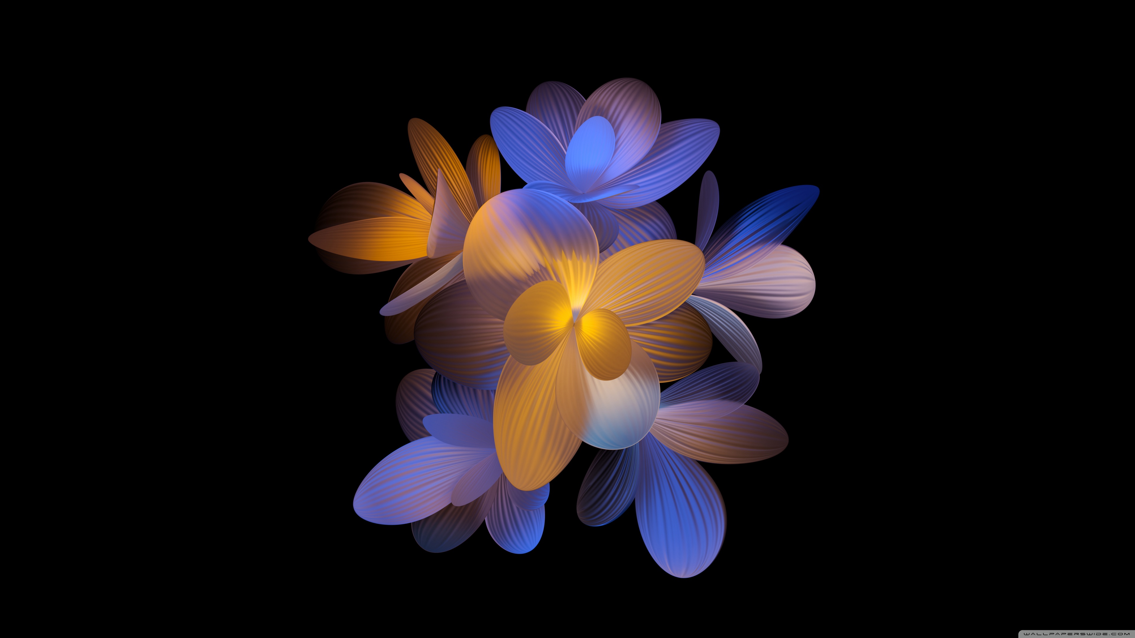 Flowers Dark Aesthetic Ultra HD Desktop