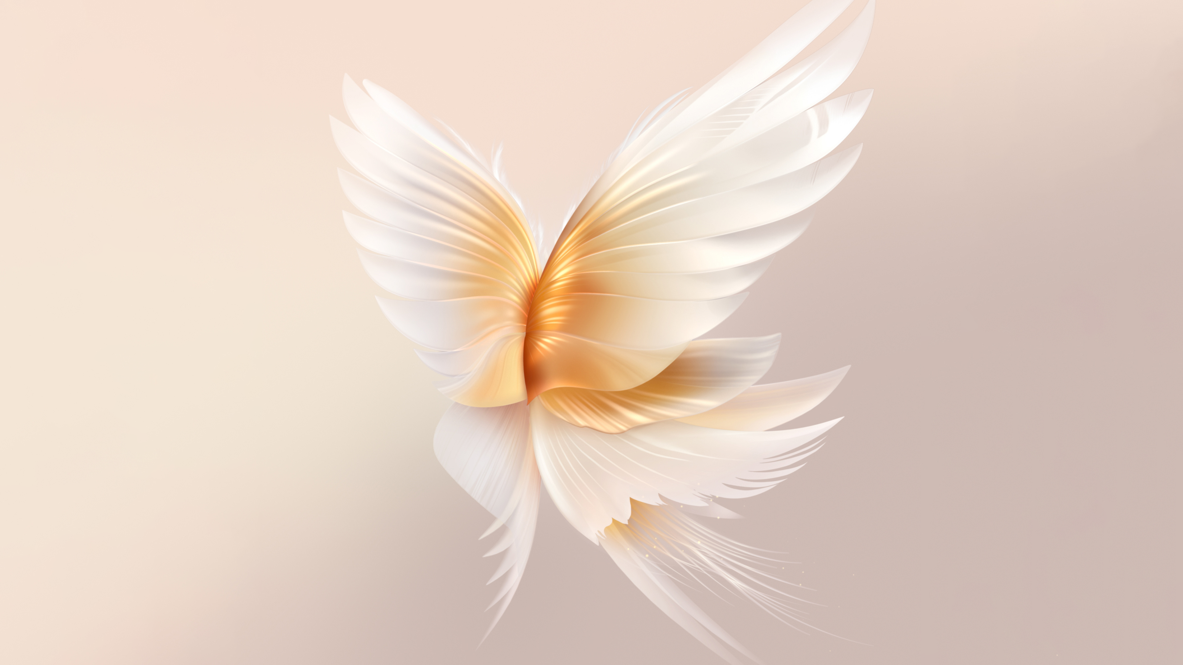 Angel wings Wallpaper 4K, Peach