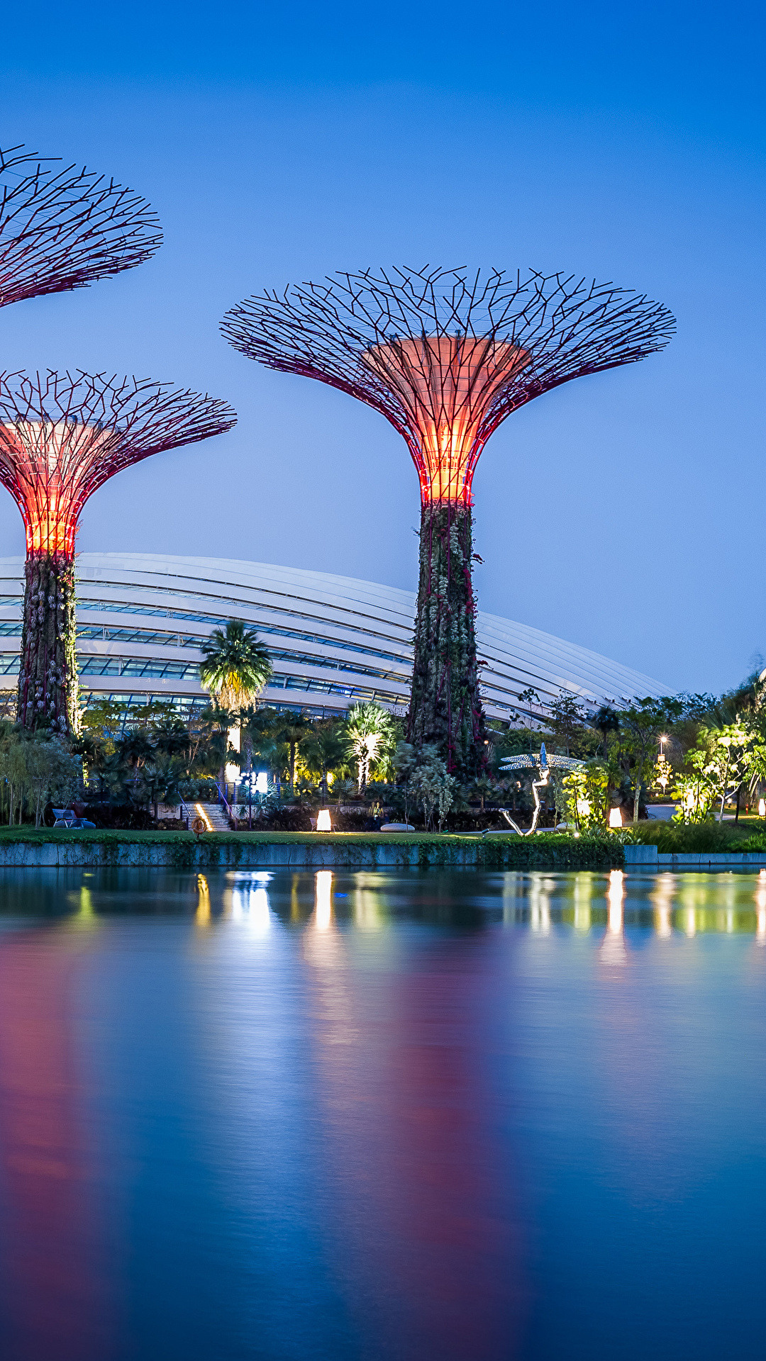 Bay Nature Parks Evening 1080x1920