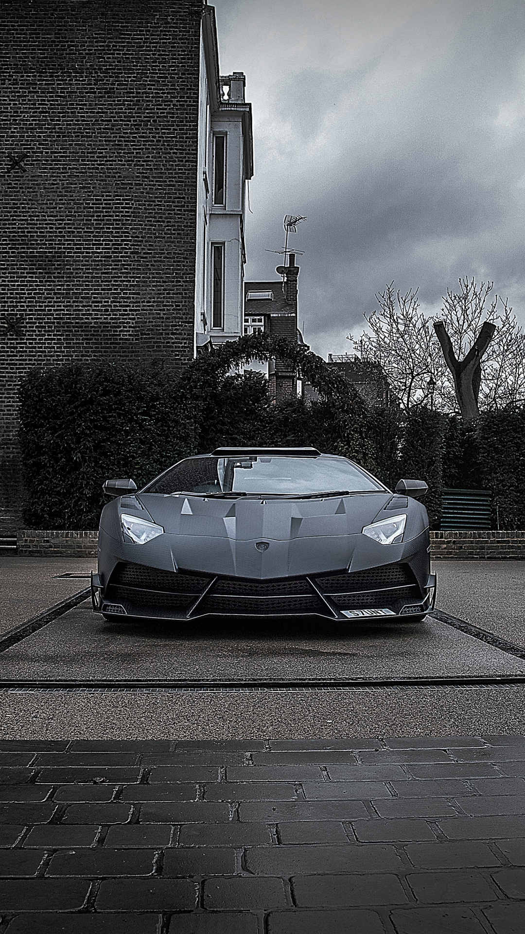 Download Lamborghini Vehicle