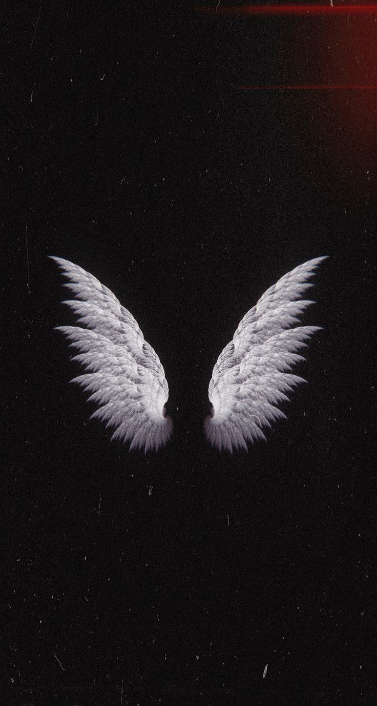 Cool Black Aesthetic Angel Wings