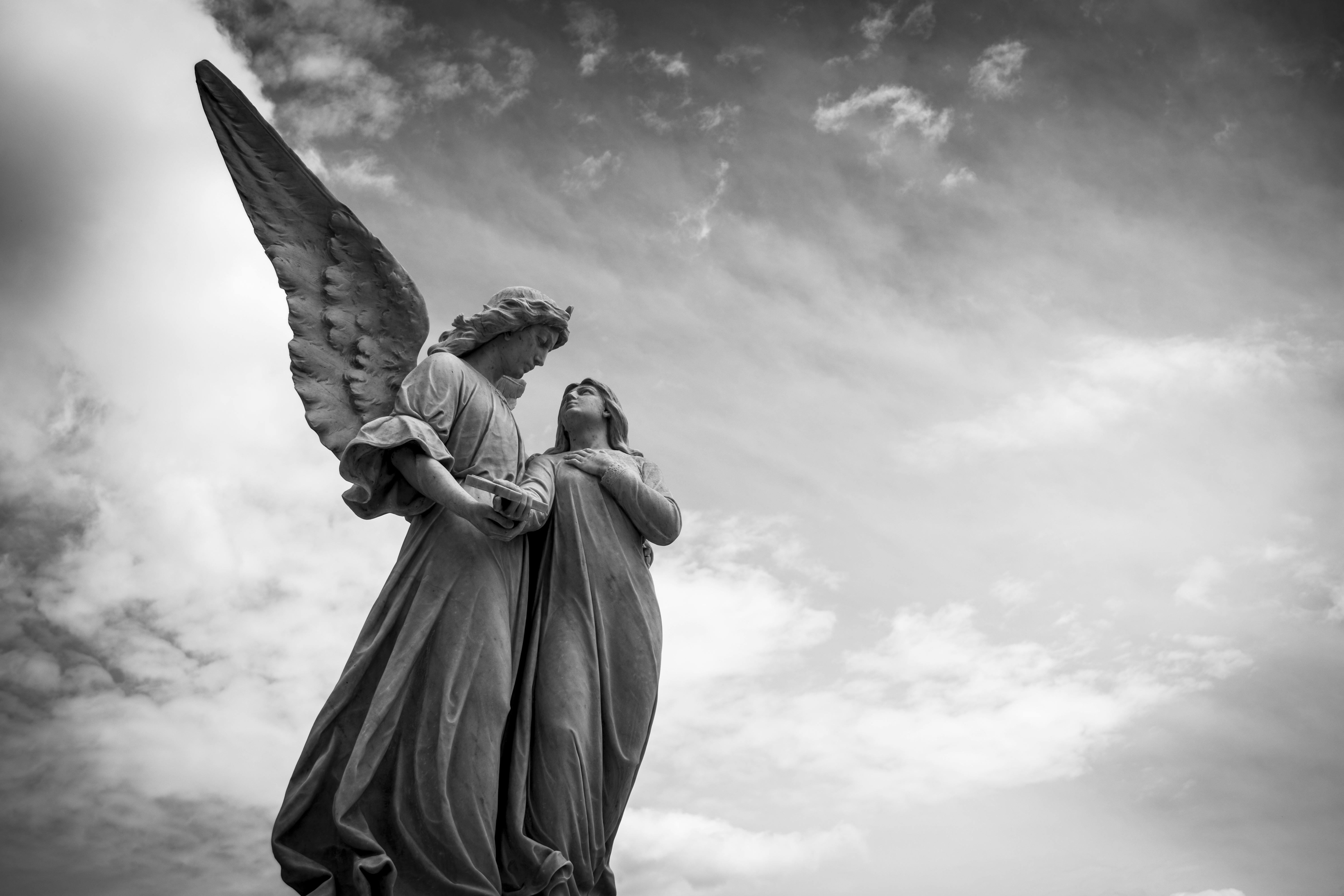 Angel Wings Photo, Download The BEST