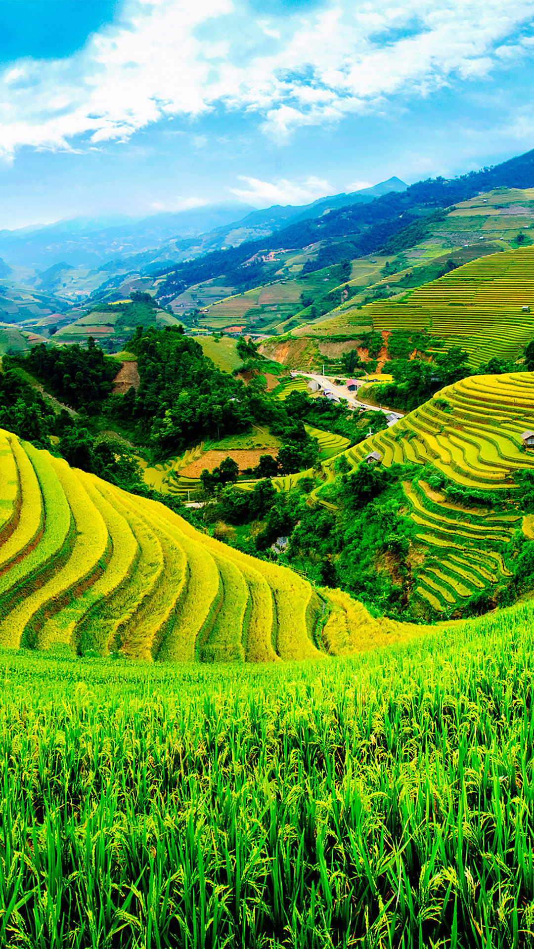 Vietnam Yen Bai iPhone Wallpaper HD