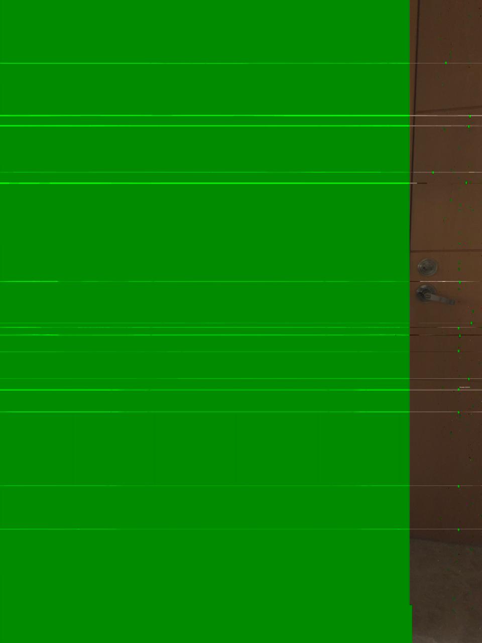 Green photo on iPhone XR