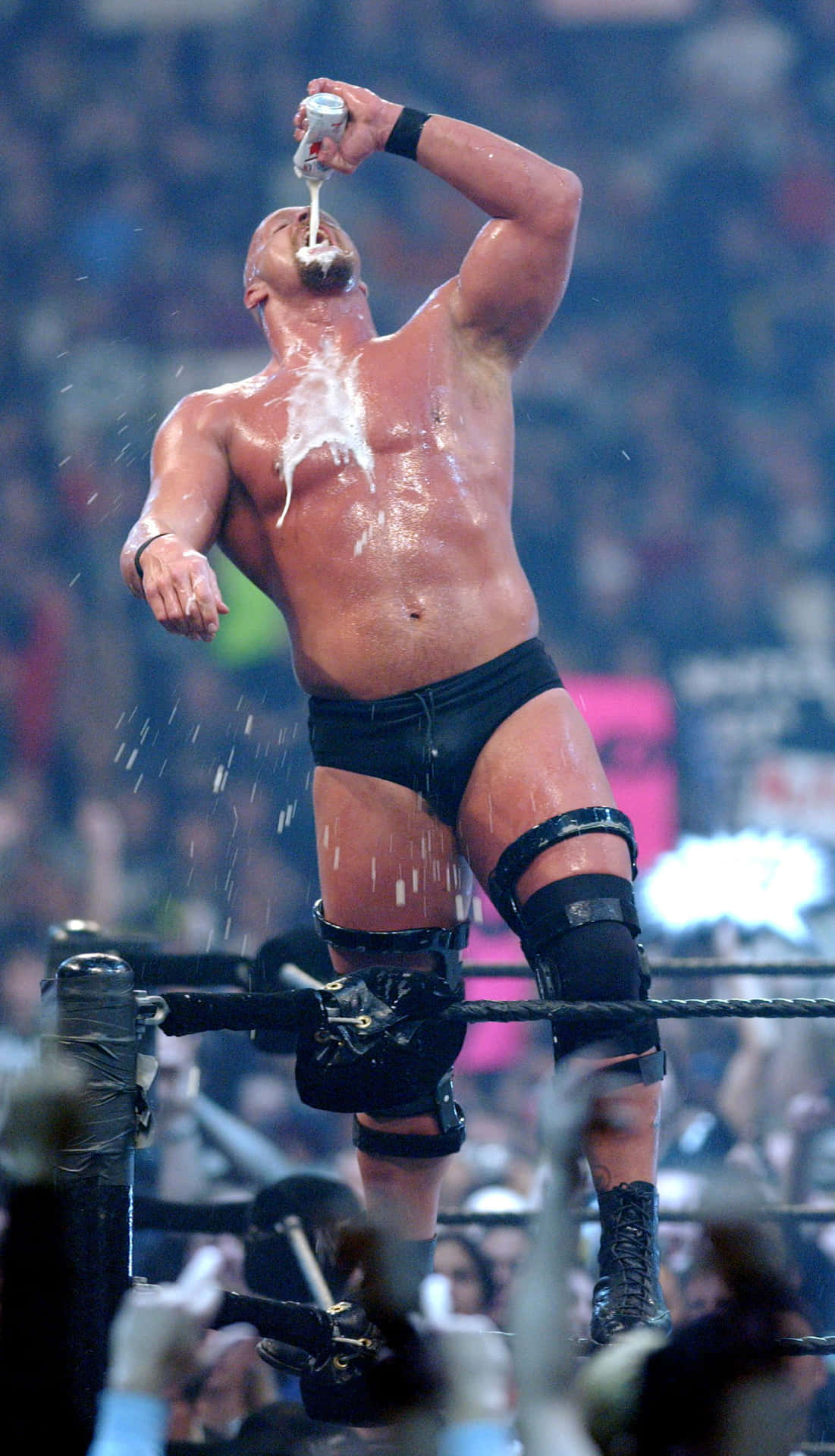Download Steve Austin Stone Cold