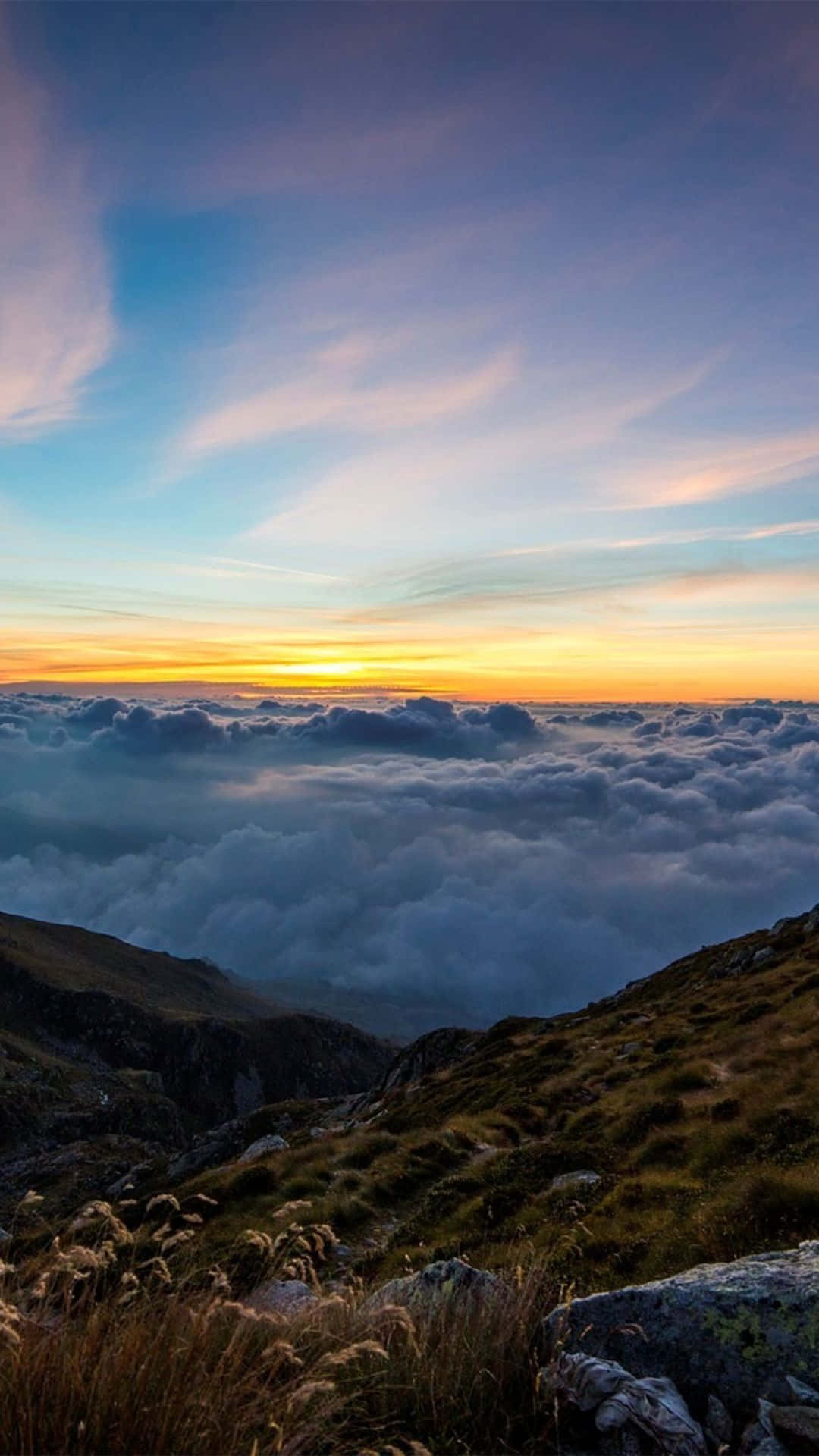 iPhone 8 Plus Wallpaper