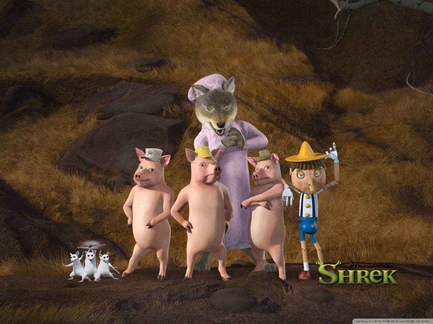 Desktop Background Wallpaper