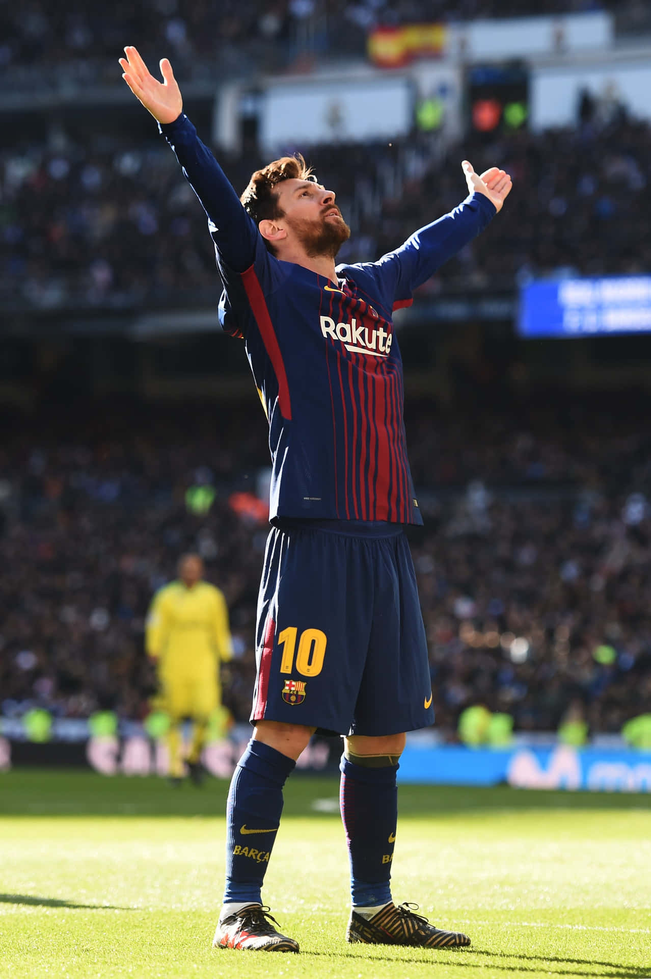 Download Lionel Messi Exults