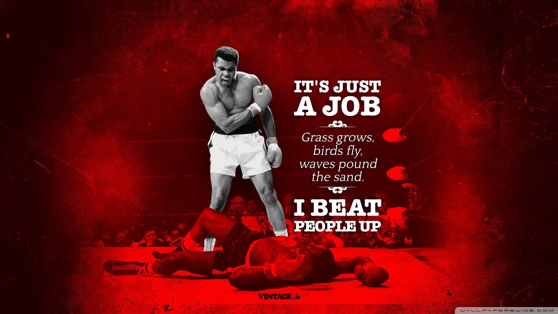 Boxing Ultra HD Desktop Background