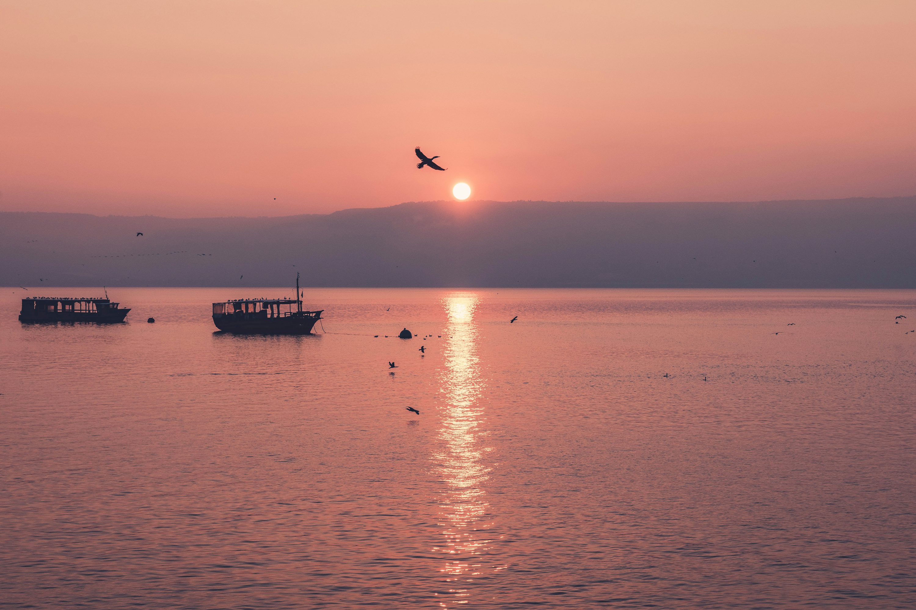 Sea Of Galilee, Israel Picture