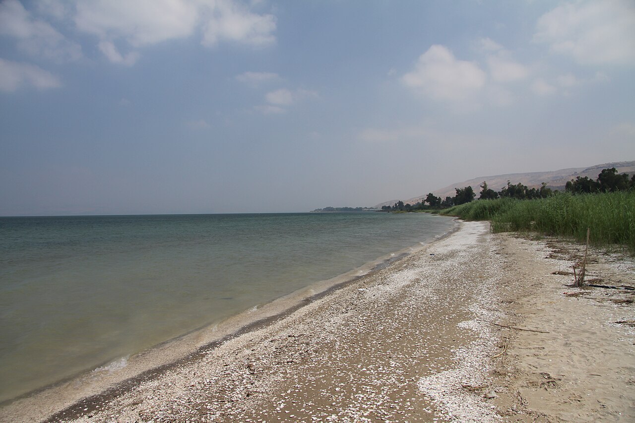 Beach of Sea of Galilee in summer