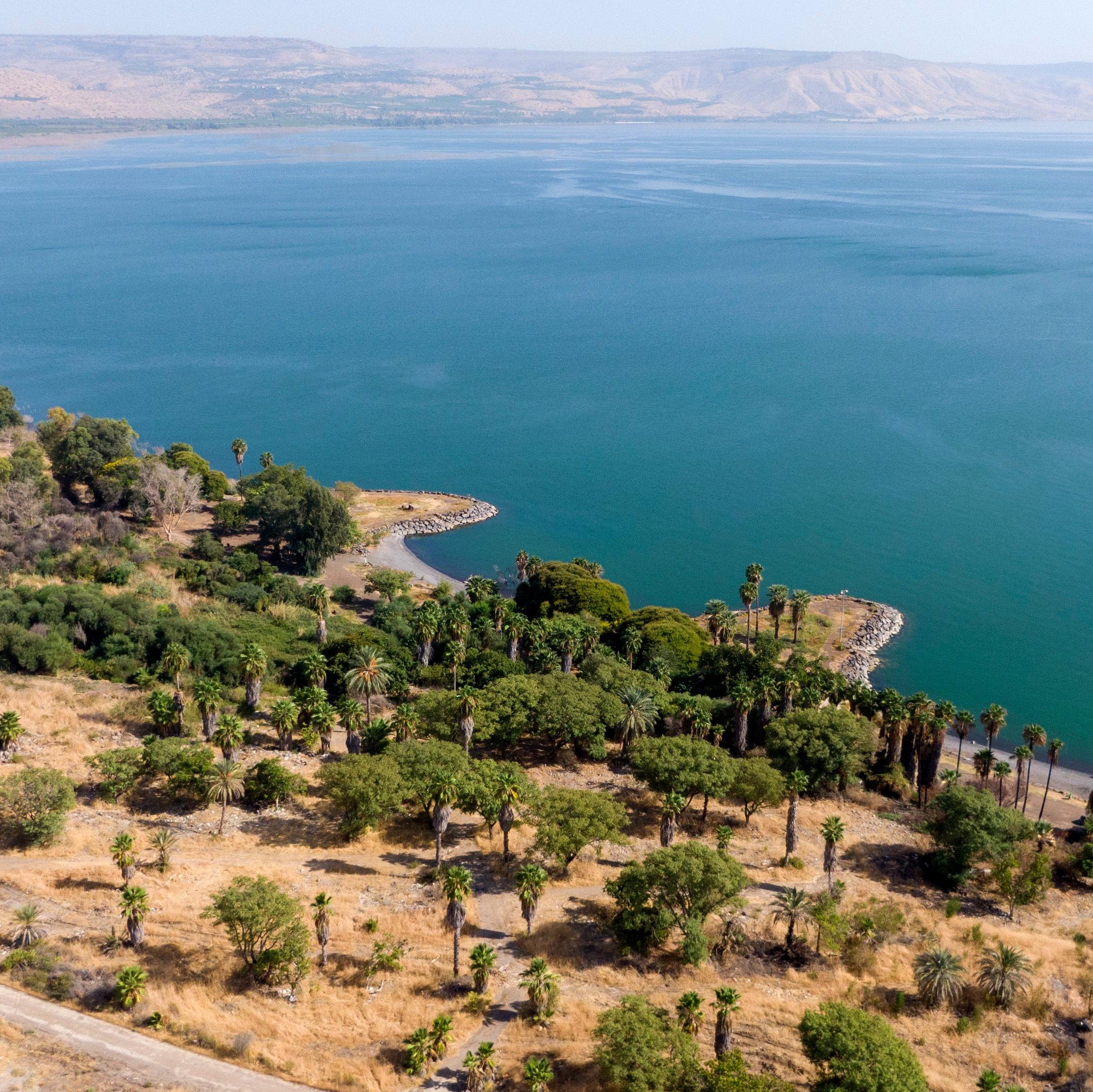 This Beautiful Sea of Galilee Beach